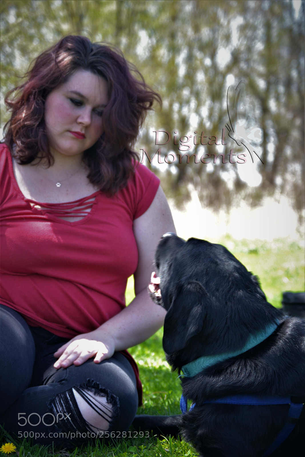 Nikon D3100 sample photo. Fur baby & mom photography