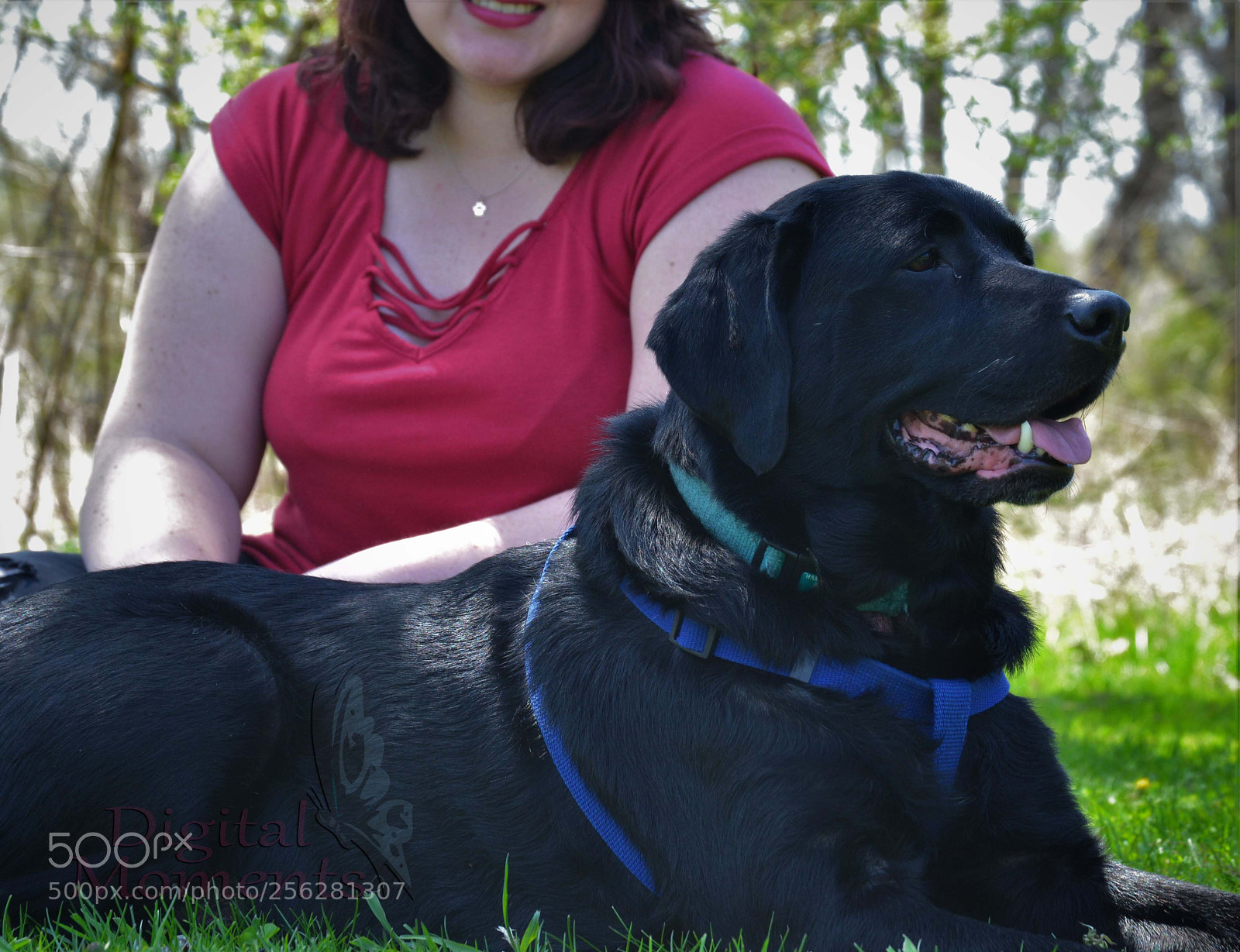 Nikon D3100 sample photo. Fur baby & mom photography