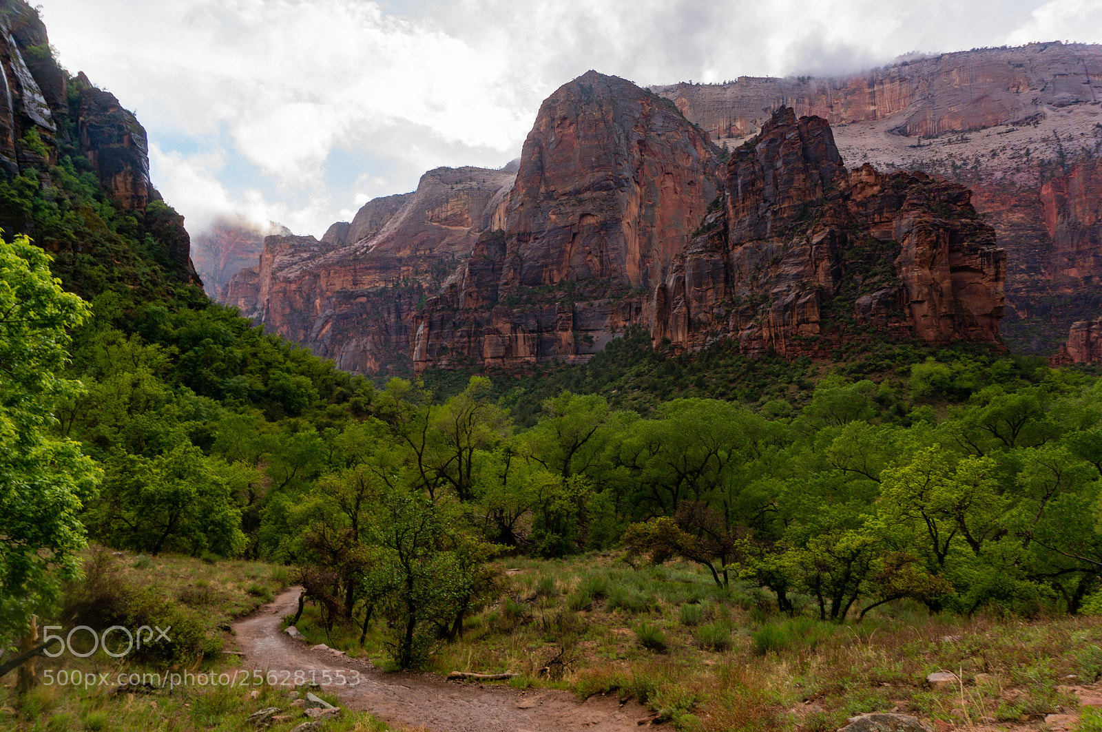 Sony Alpha NEX-6 sample photo. @zion photography