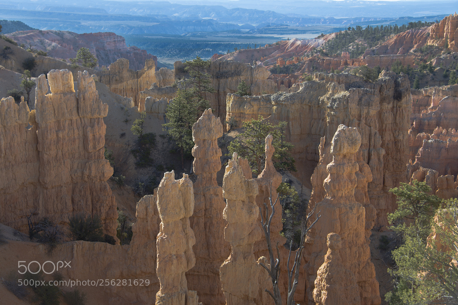 Nikon D800 sample photo. Bryce canyon, utah photography