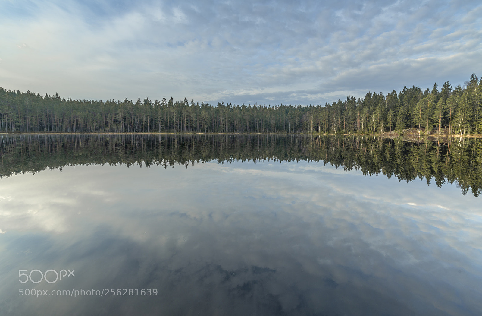 Nikon D850 sample photo. A little lake photography