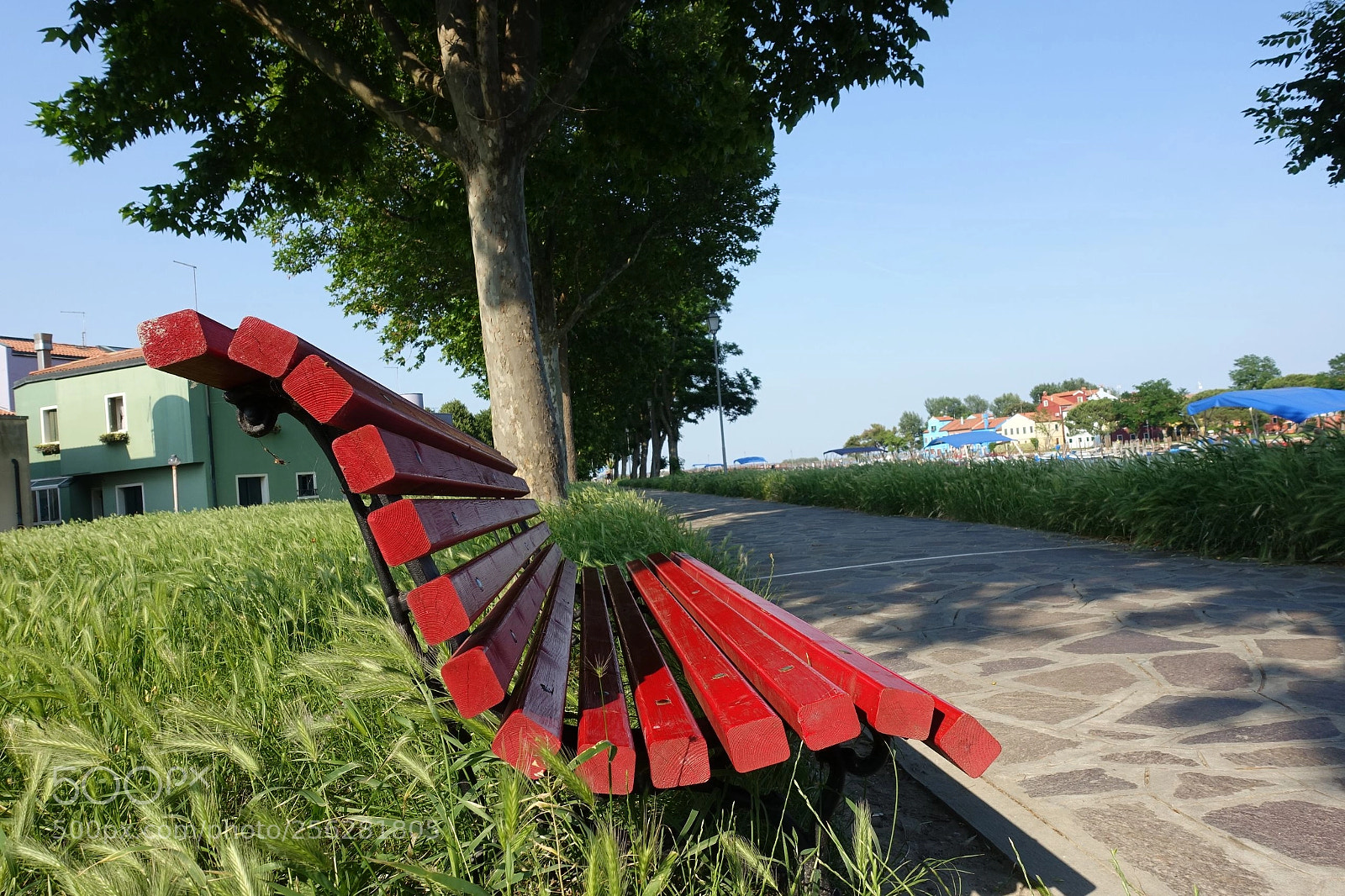 Sony Cyber-shot DSC-RX100 III sample photo. Good morning photography