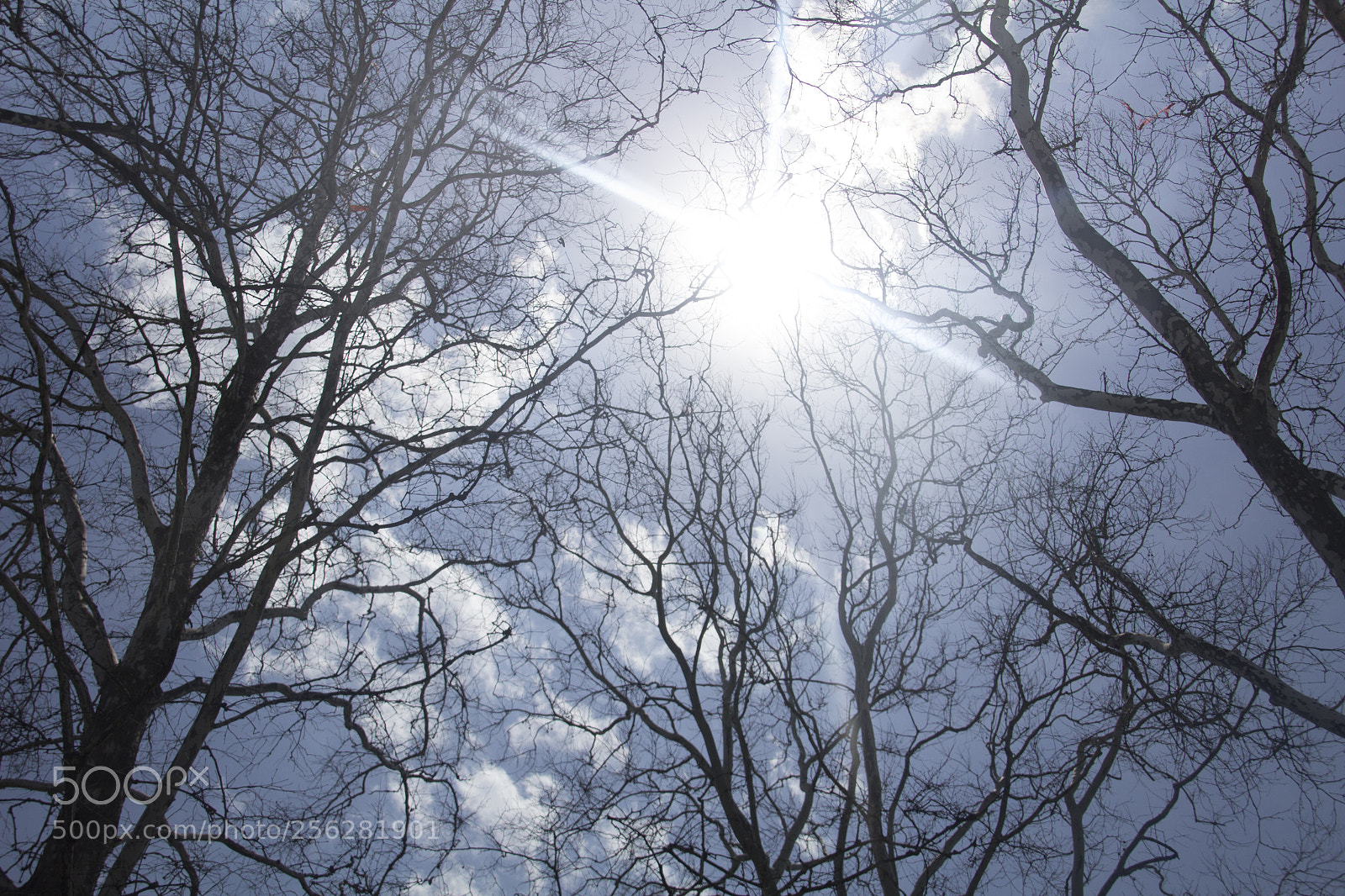 Canon EOS 1200D (EOS Rebel T5 / EOS Kiss X70 / EOS Hi) sample photo. Heavenly sky. photography