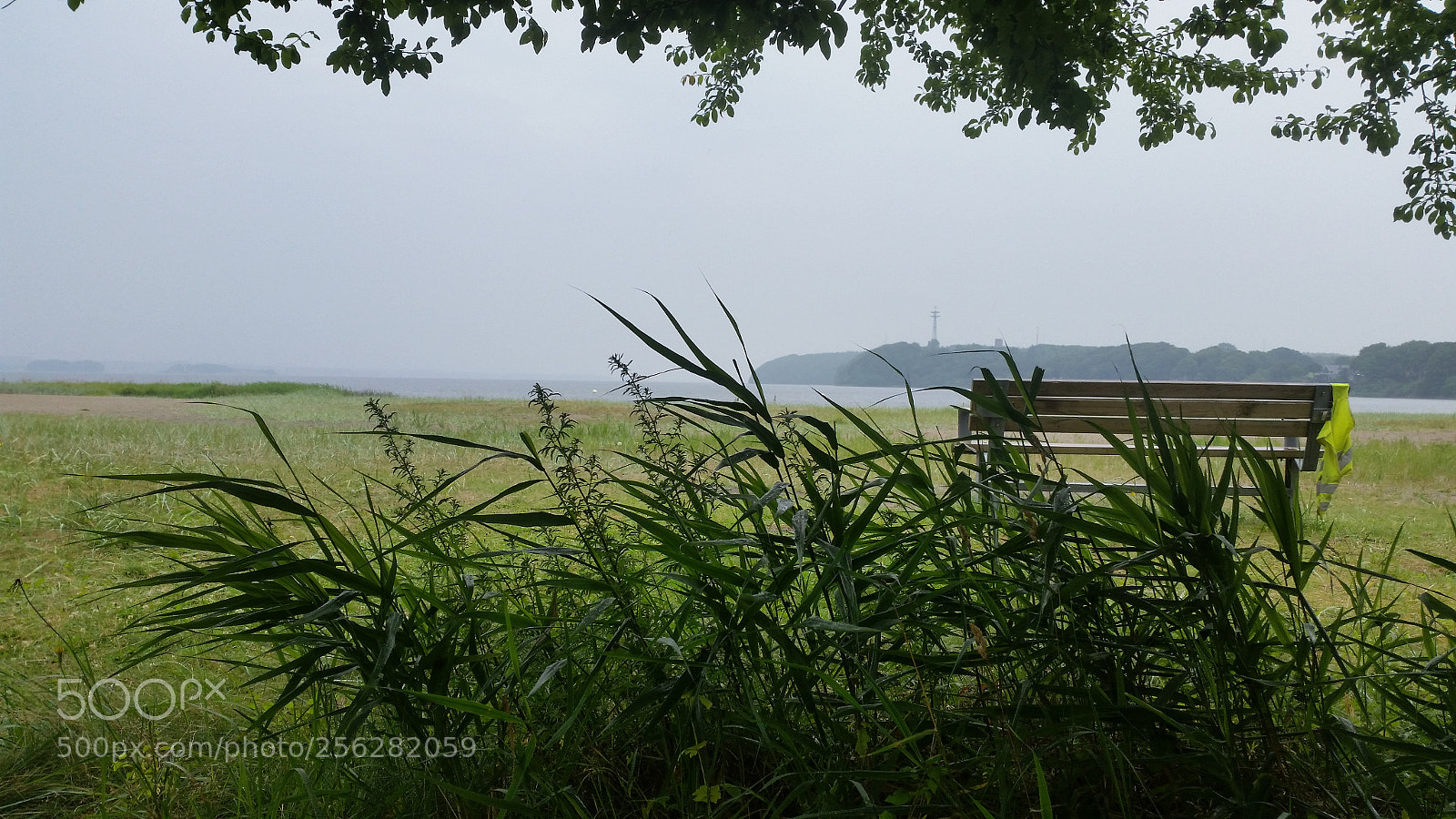 Samsung Galaxy S5 sample photo. Untitled photography