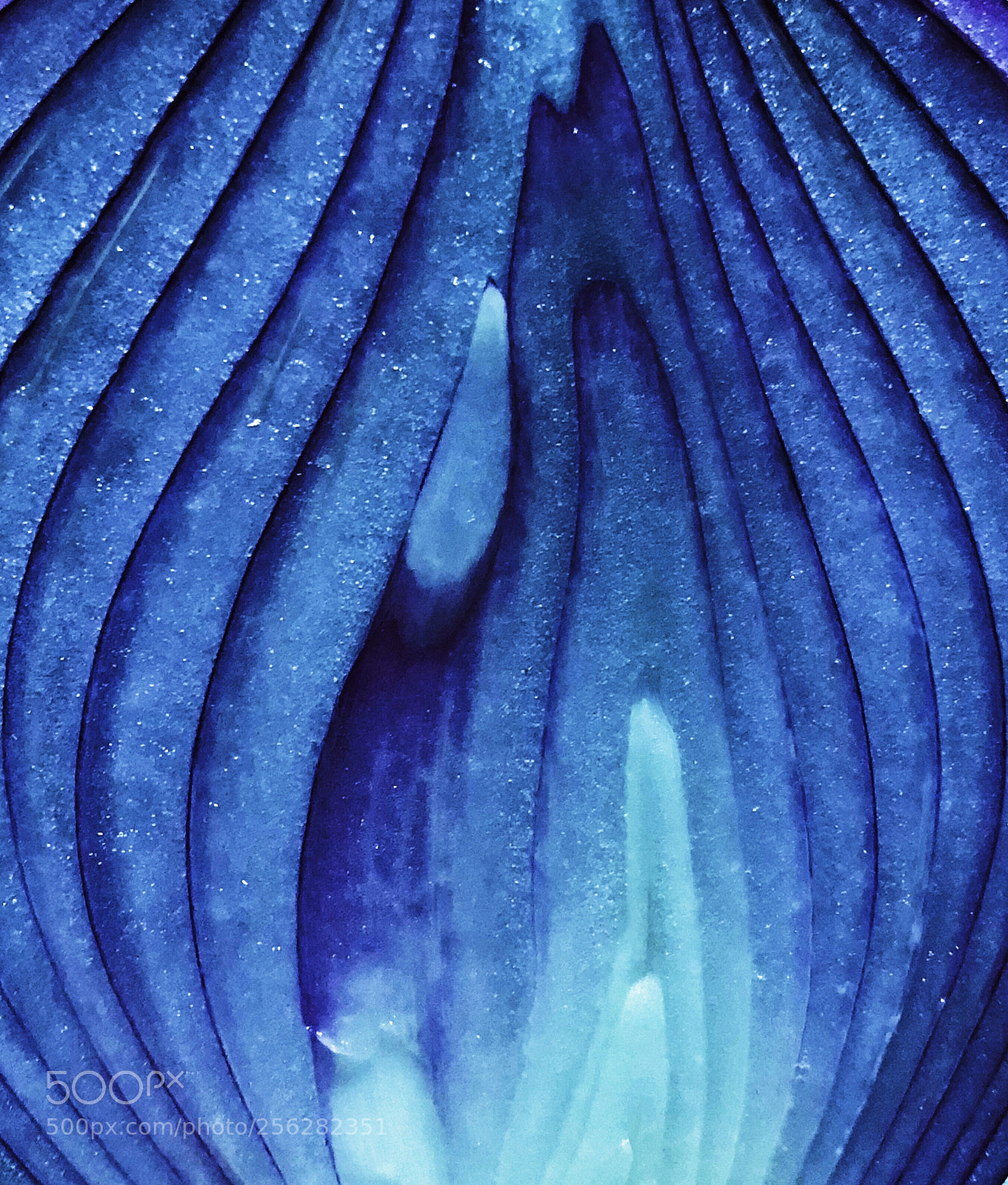 Apple iPhone X sample photo. Structure photography