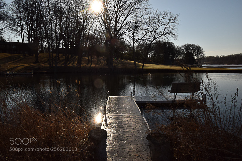 Nikon D3300 sample photo. Morning over the canal. photography