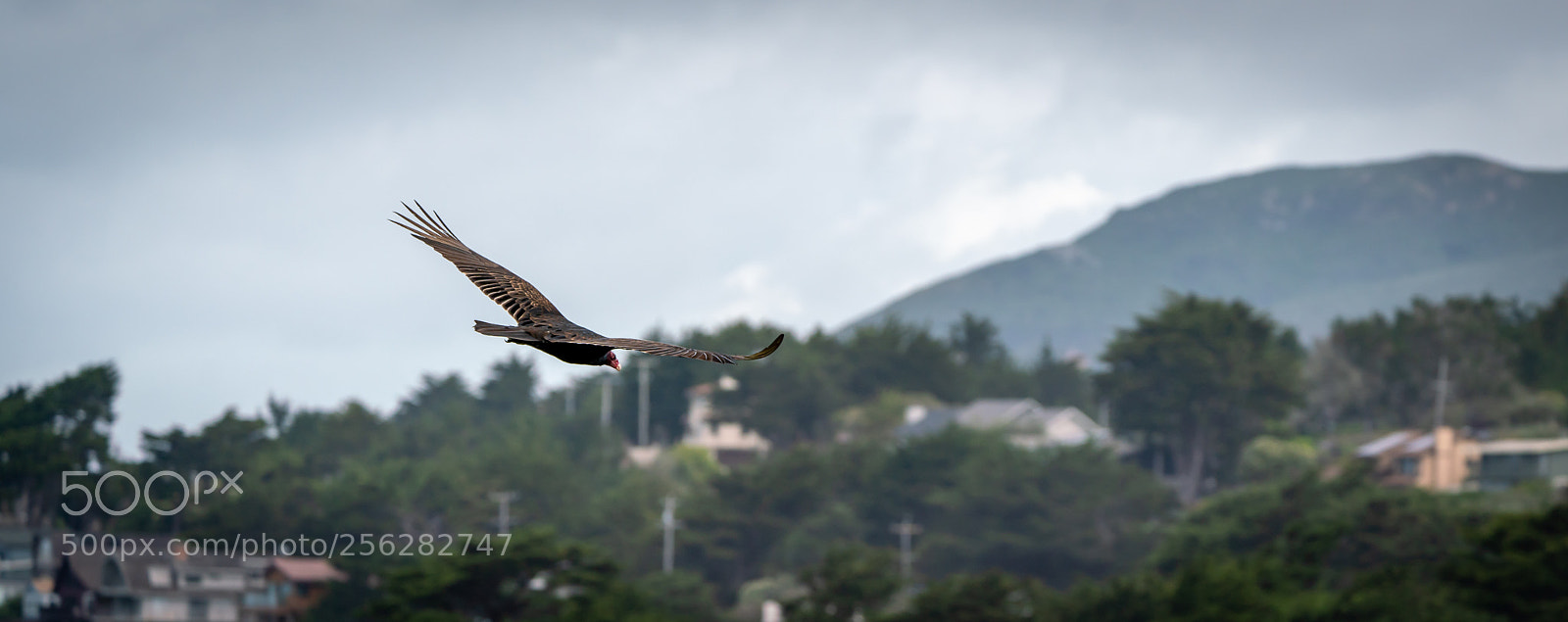 Sony a7R III sample photo. The wild ocean photography