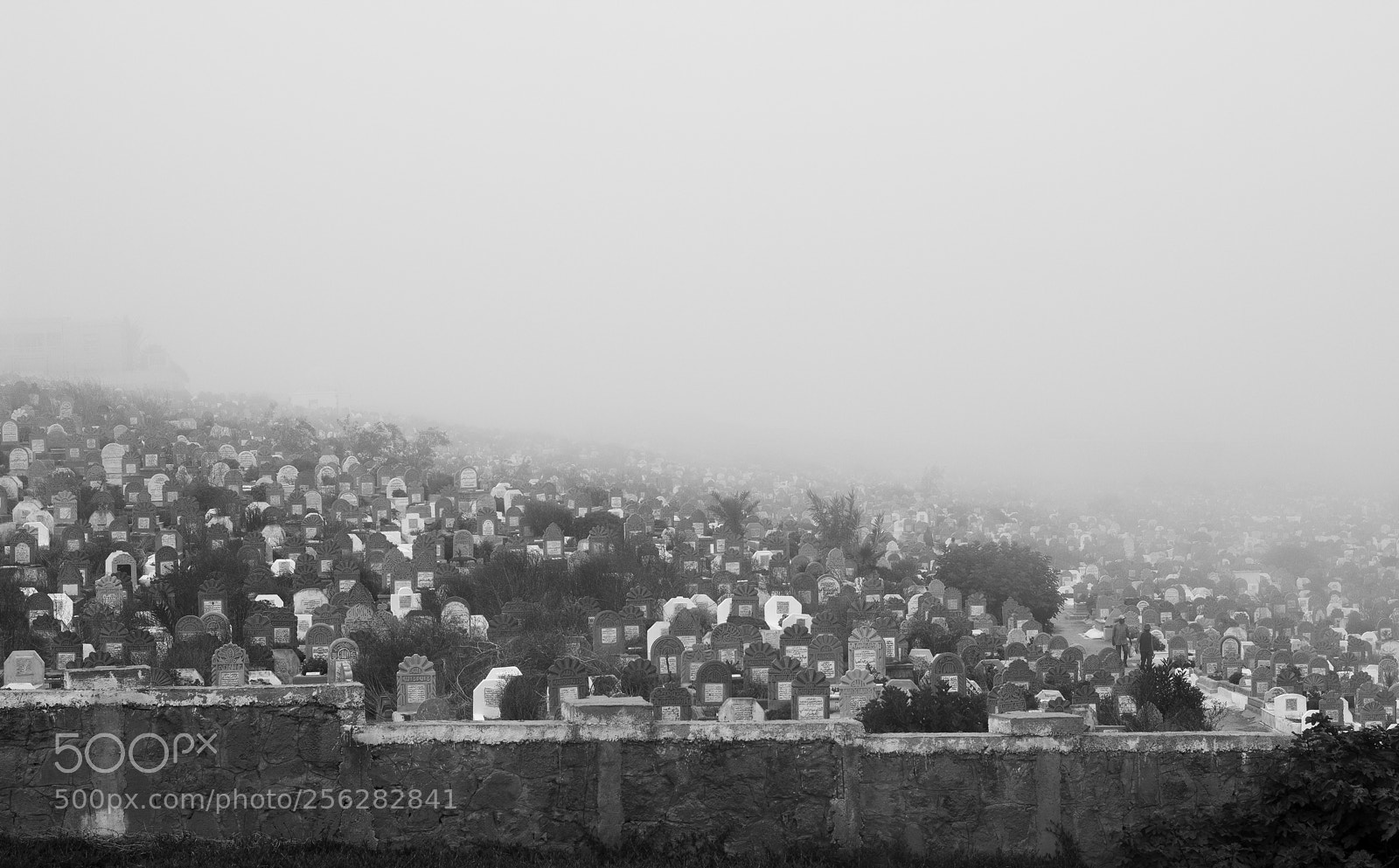 Canon EOS 600D (Rebel EOS T3i / EOS Kiss X5) sample photo. Rabat(cementery) photography