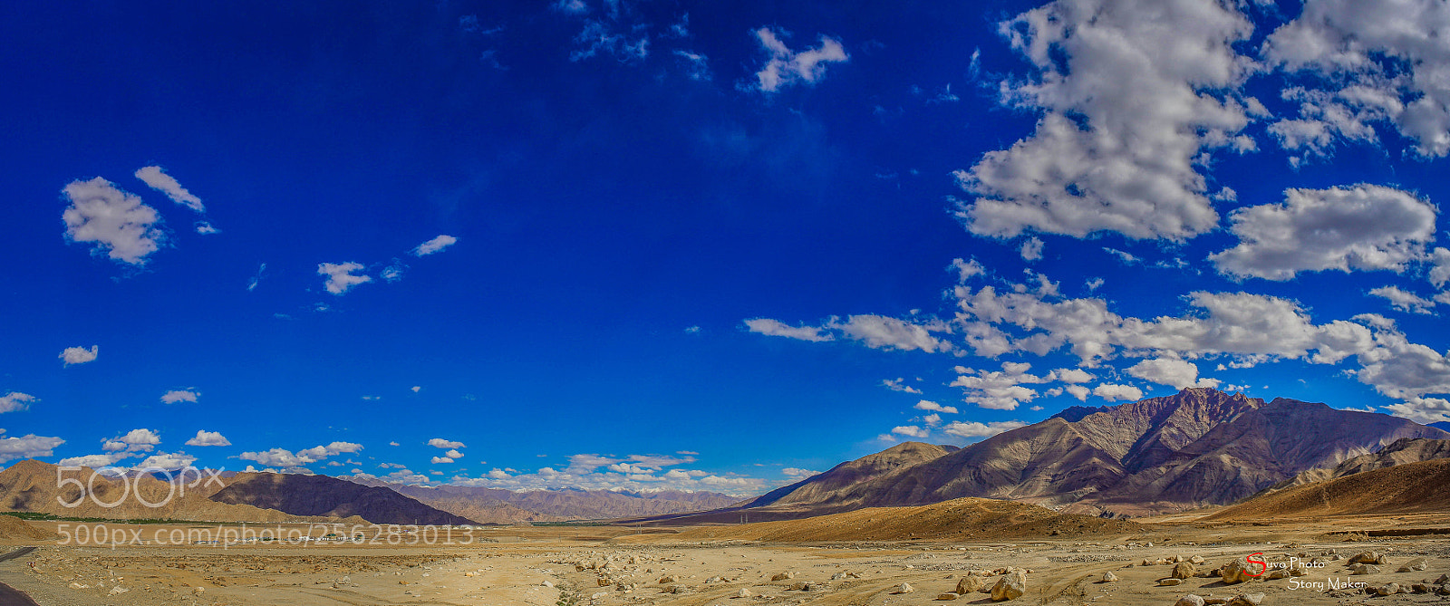 Nikon D750 sample photo. On the way to photography