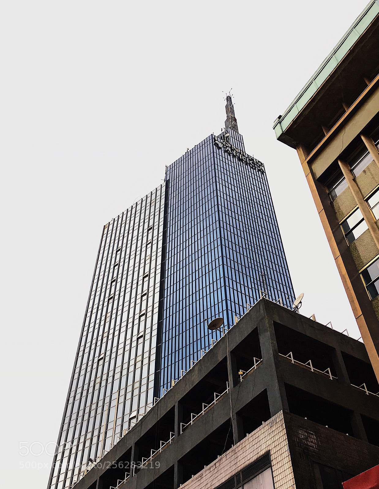 Apple iPhone 6s sample photo. Look up. photography