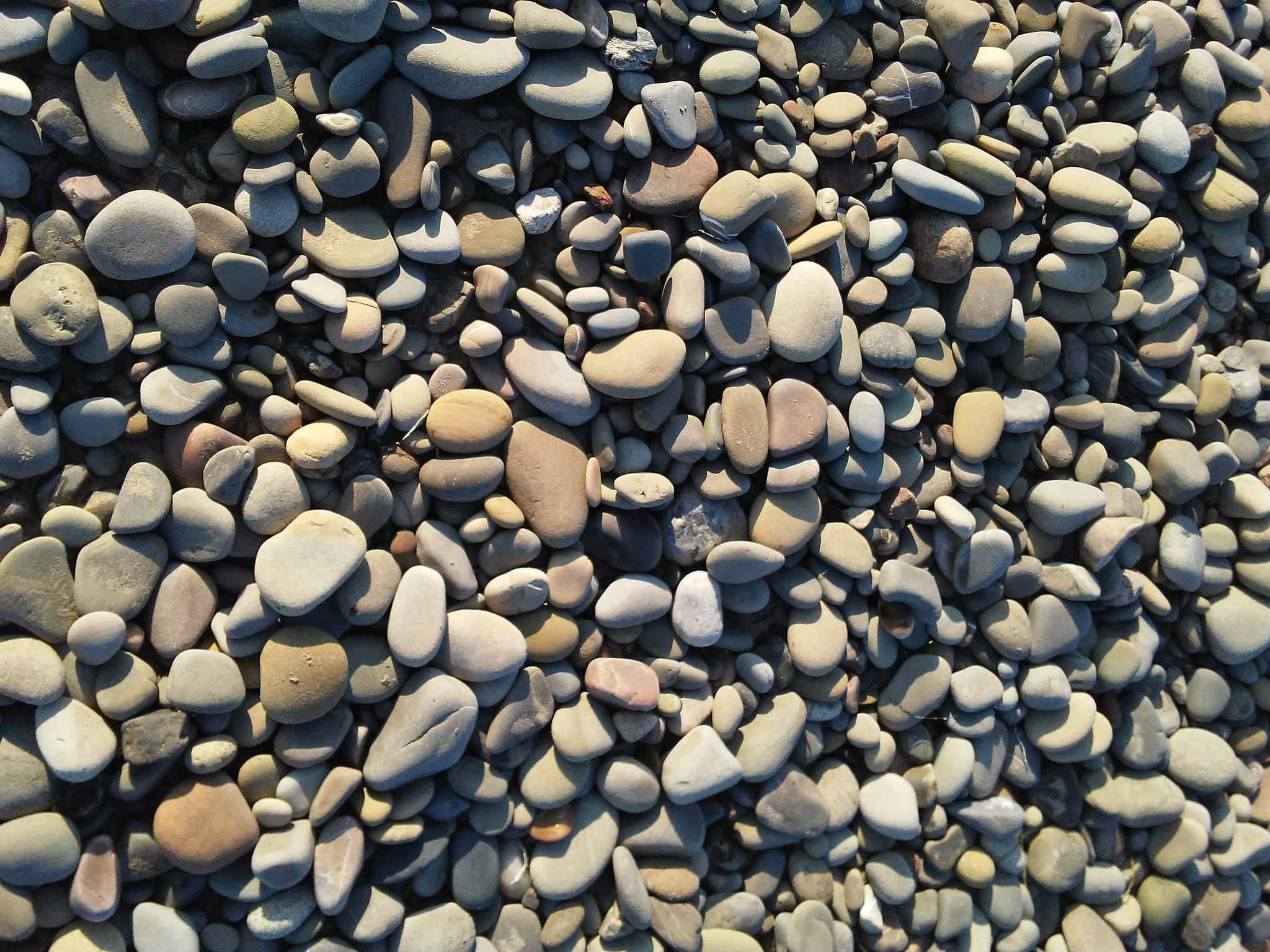 LG K10 sample photo