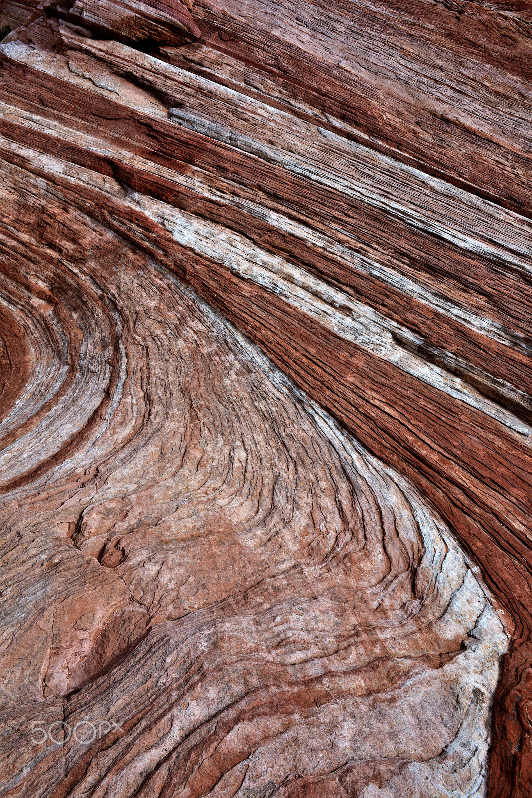 Nikon D810 sample photo. Valley of fire 4 photography