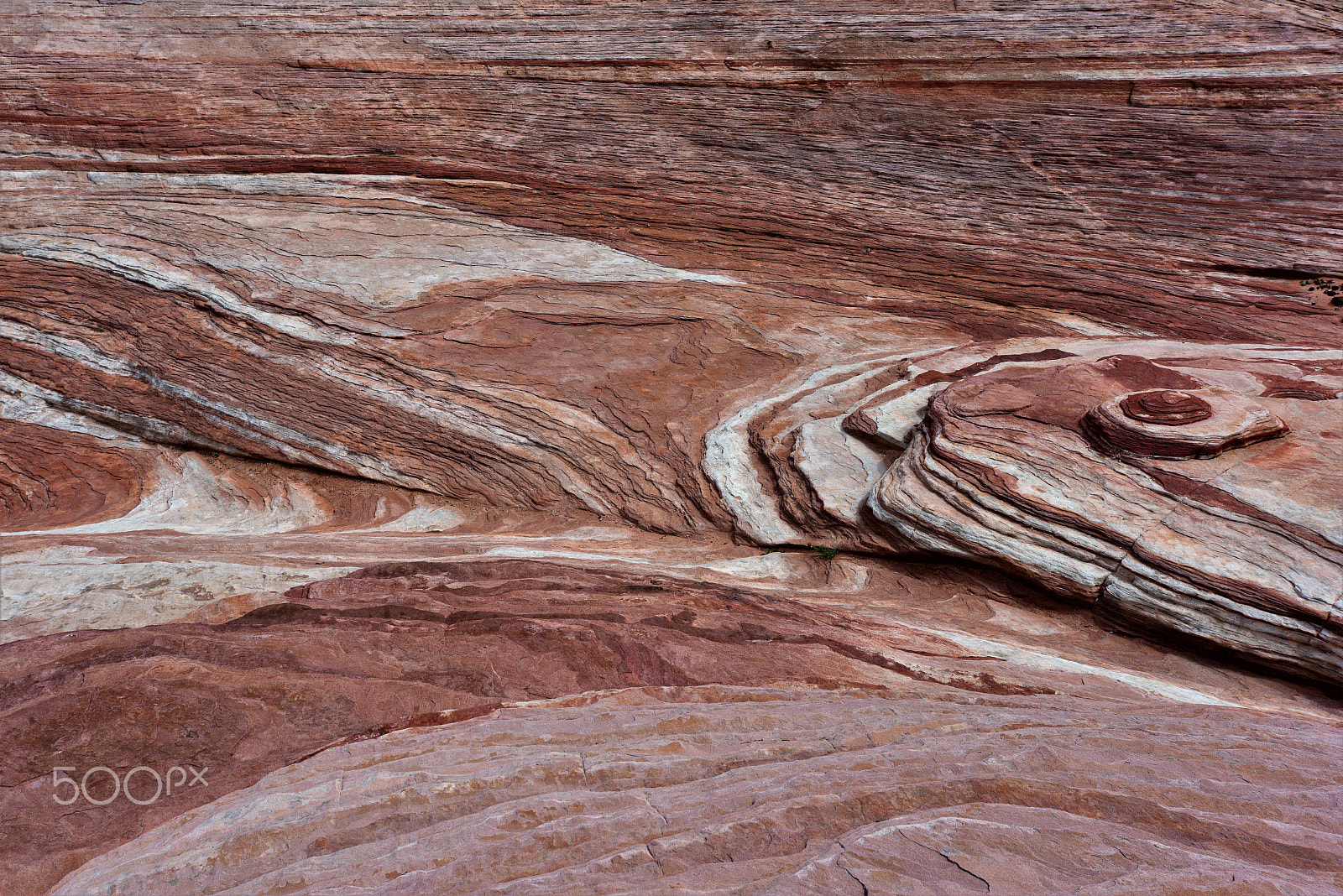 Nikon D810 sample photo. Valley of fire 2 photography