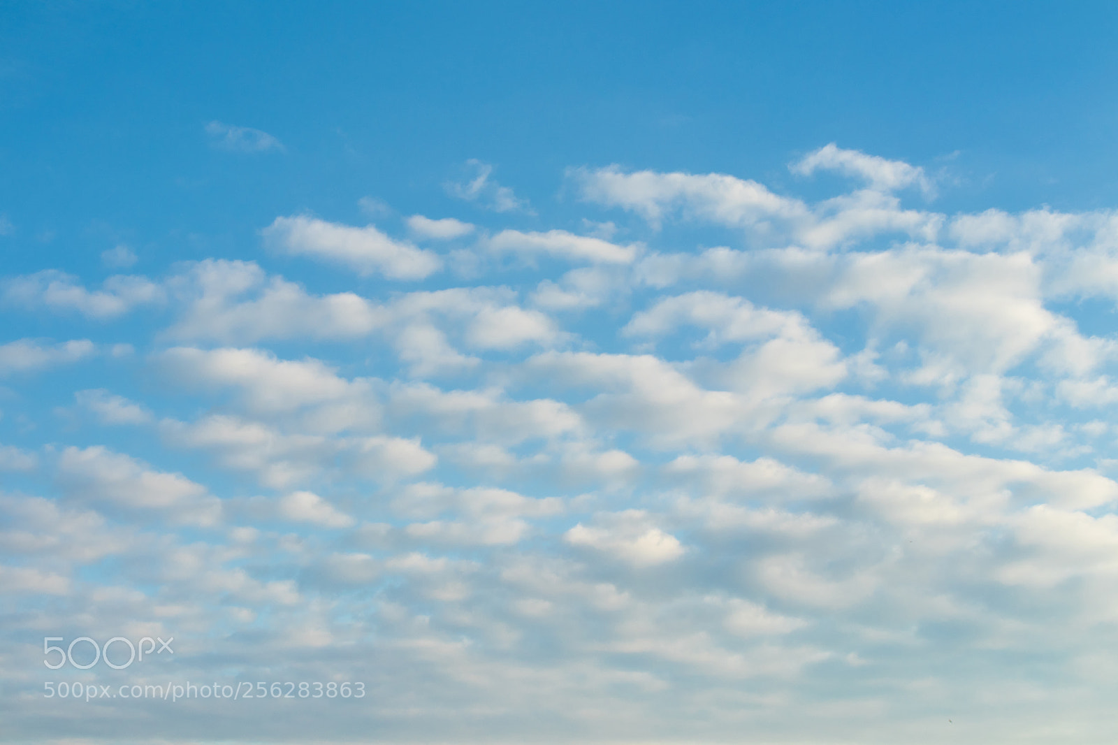 Canon EOS M5 sample photo. Blue sky with clouds photography
