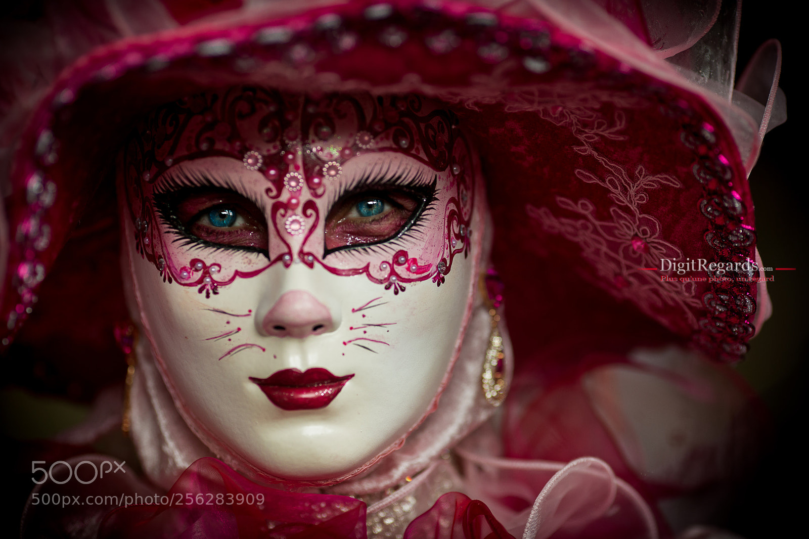 Canon EOS 5D Mark IV sample photo. Closeup photography
