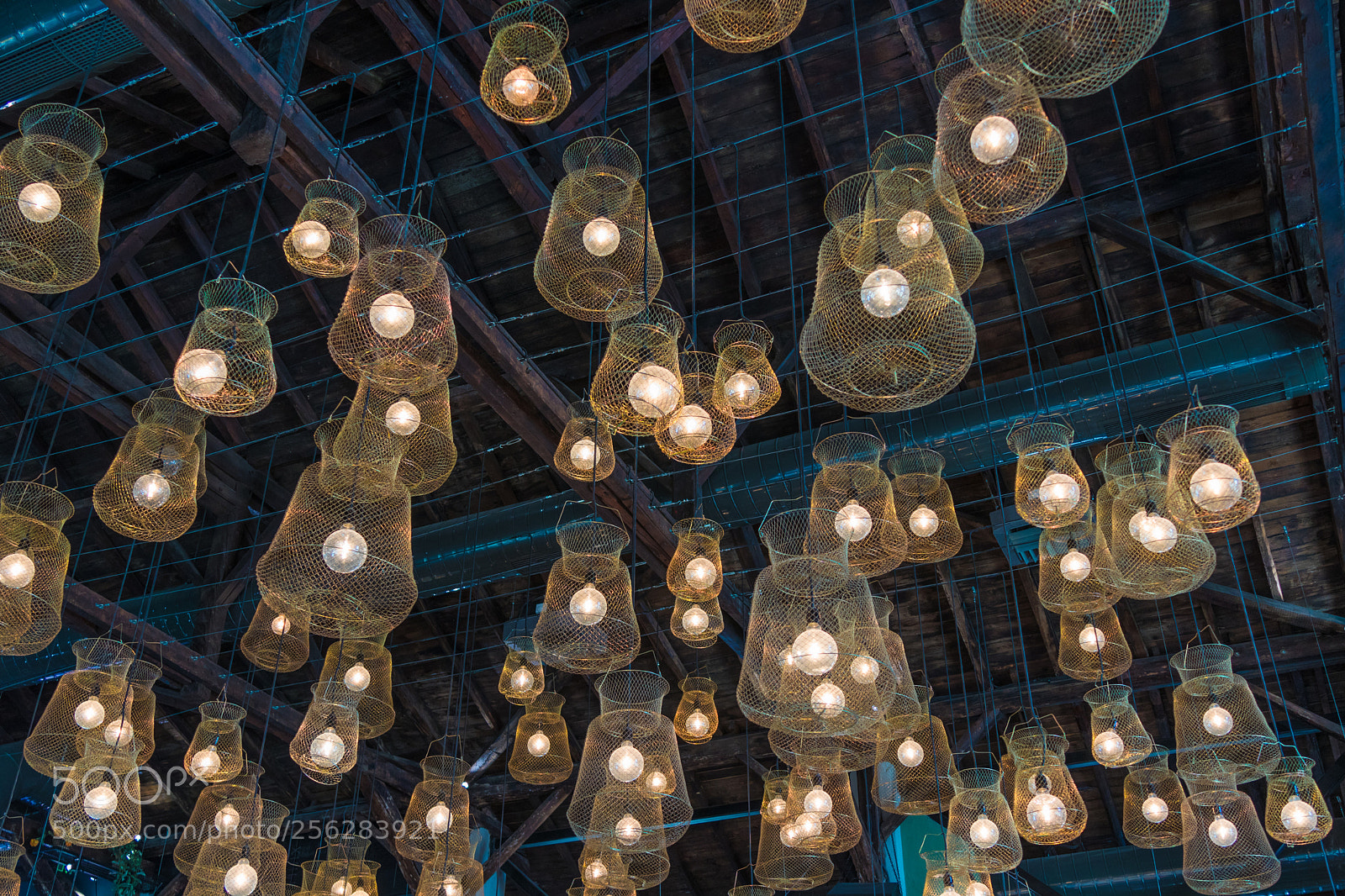 Canon EOS M5 sample photo. Fish cage retro light photography
