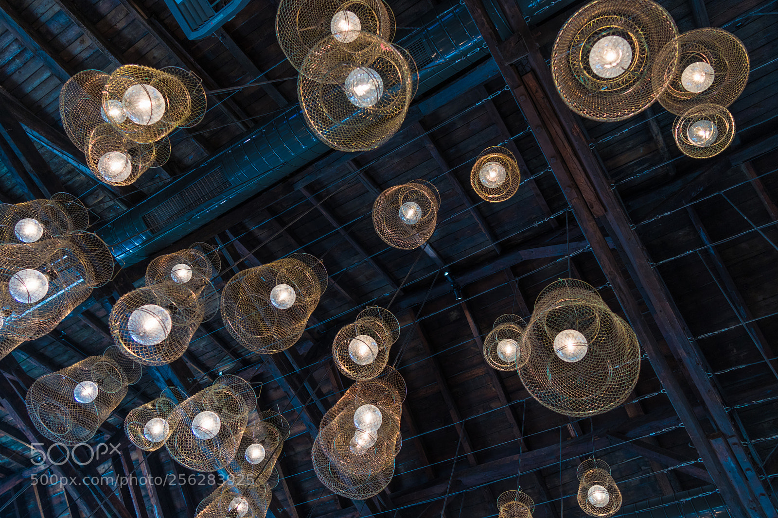 Canon EOS M5 sample photo. Fish cage retro lights photography