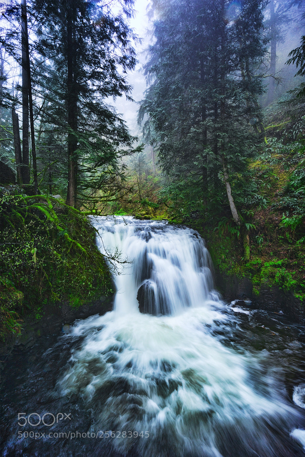 Sony a6000 sample photo. Upper multnomah photography