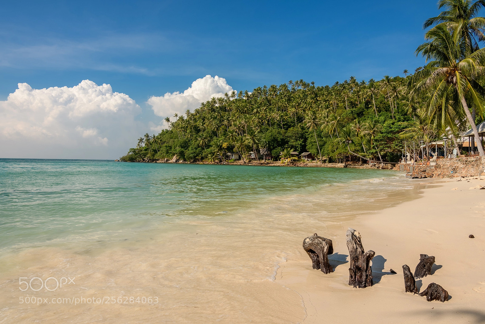 Nikon D7500 sample photo. Shore photography