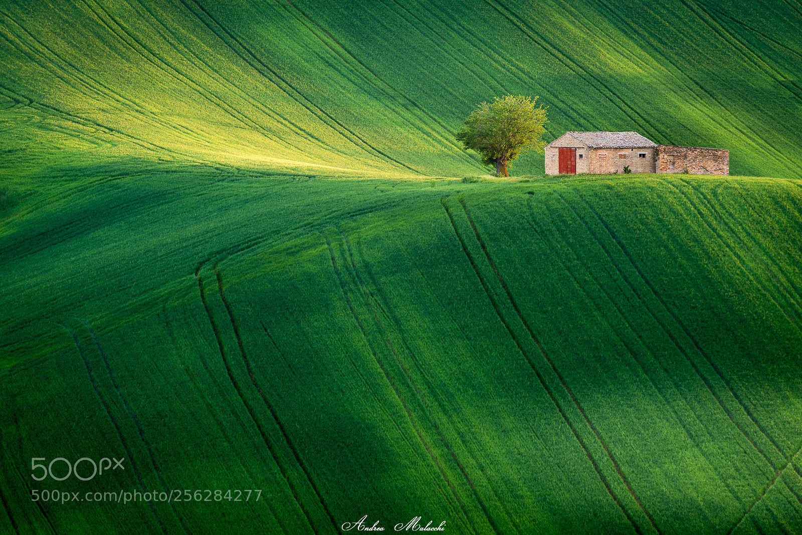 Nikon D610 sample photo. Sunset italy small house photography