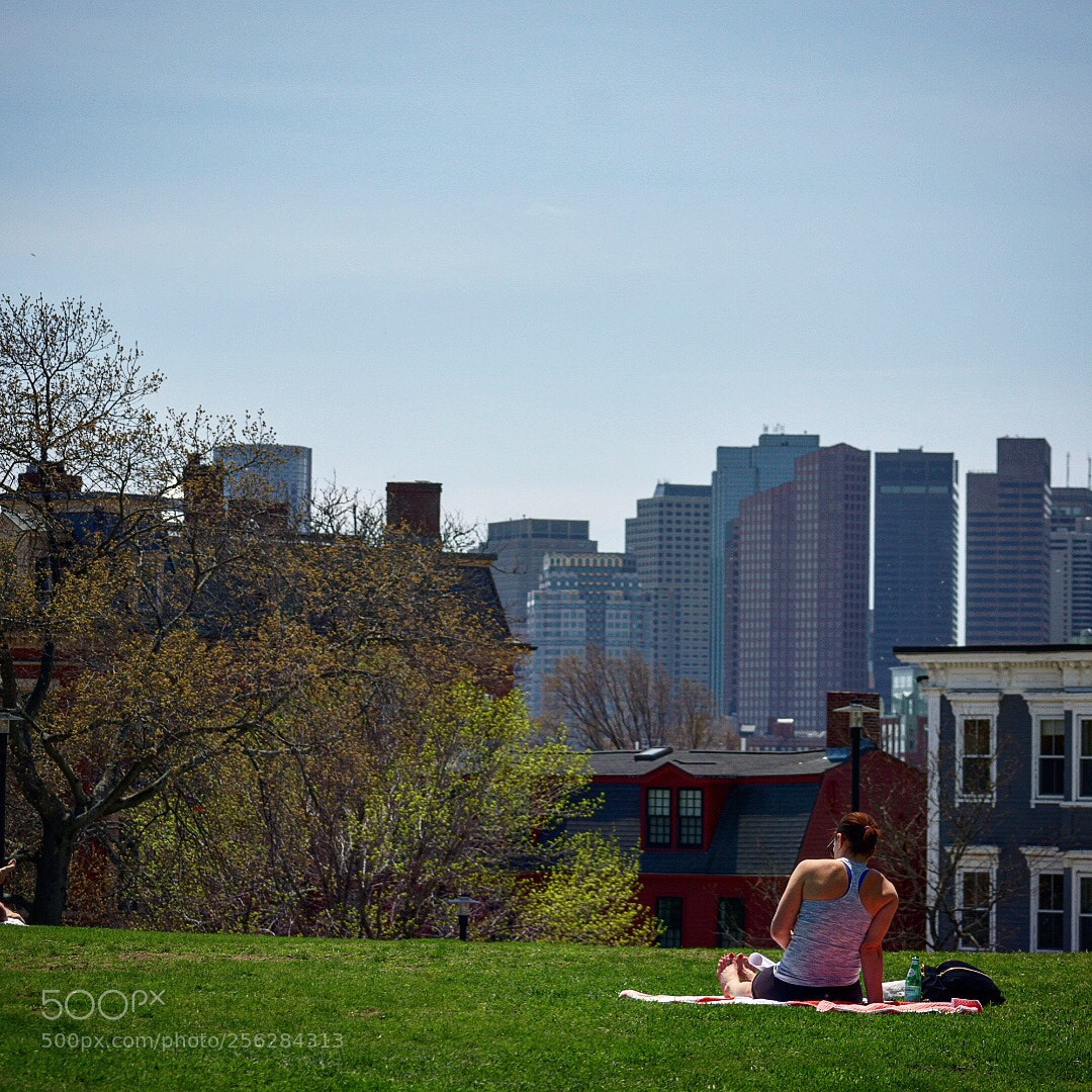 Nikon D3400 sample photo. At the park photography