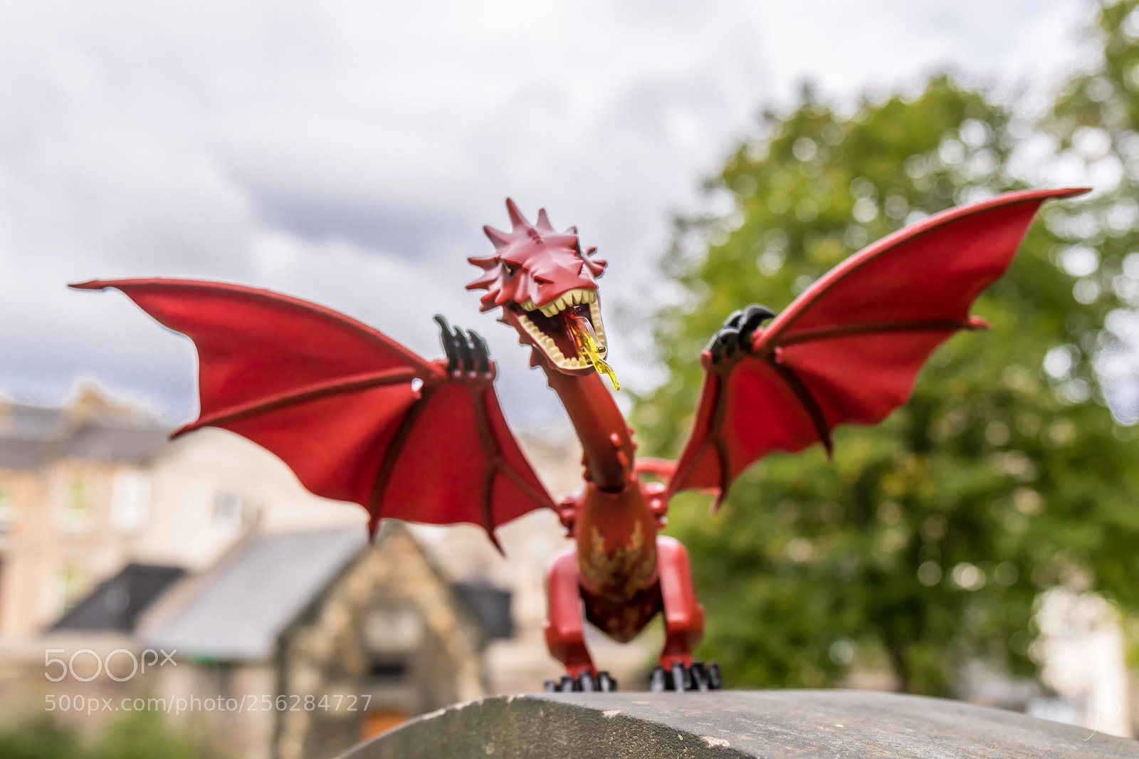 Canon EOS 7D Mark II sample photo. Fear the dragon photography