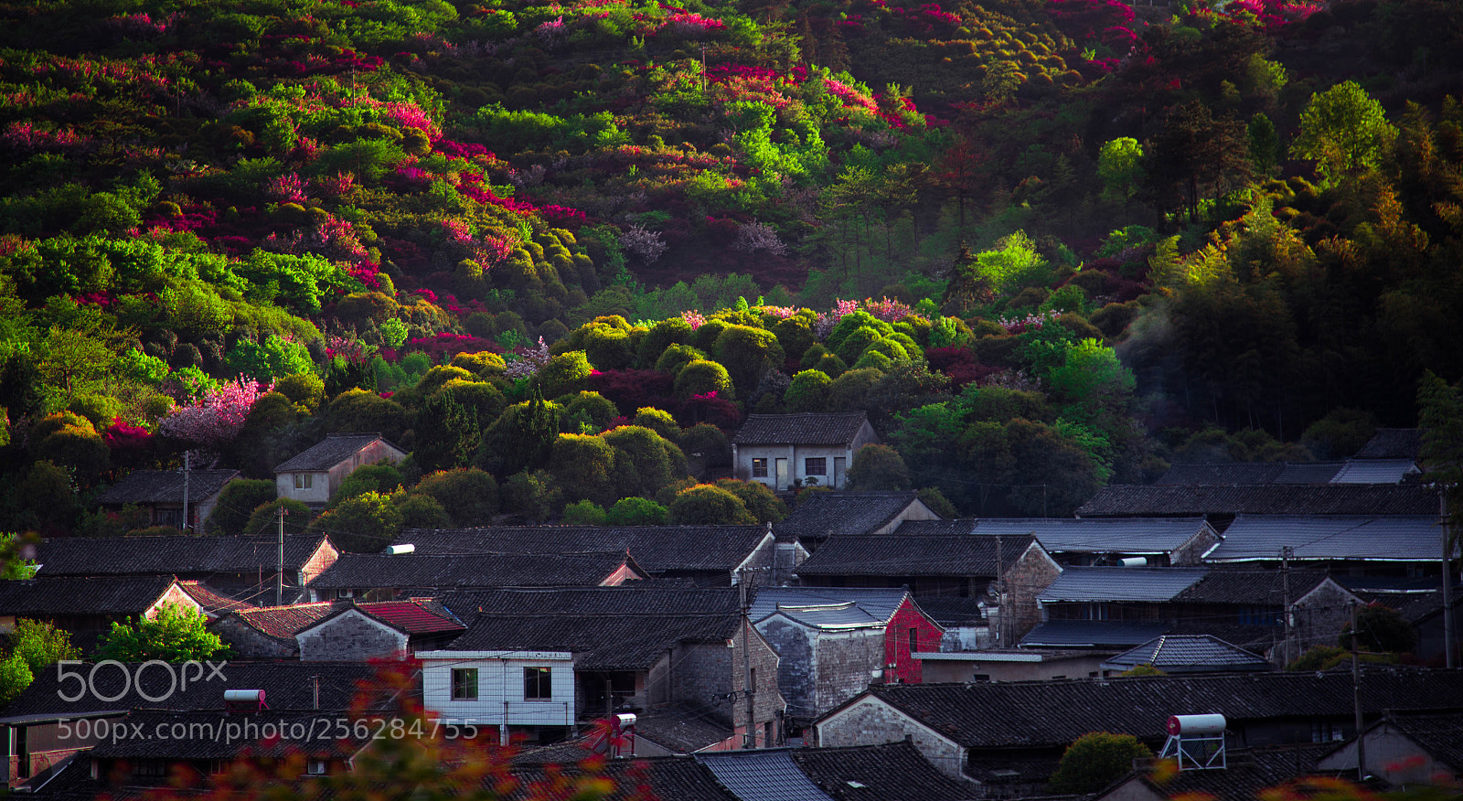 Canon EOS 6D sample photo. 心旷神怡 photography