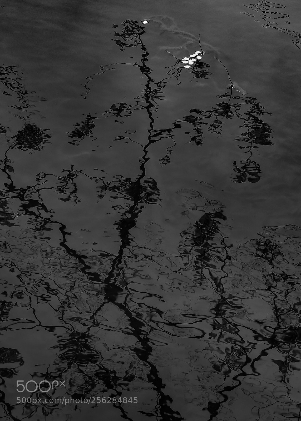 Canon PowerShot G16 sample photo. Reflection b&w photography