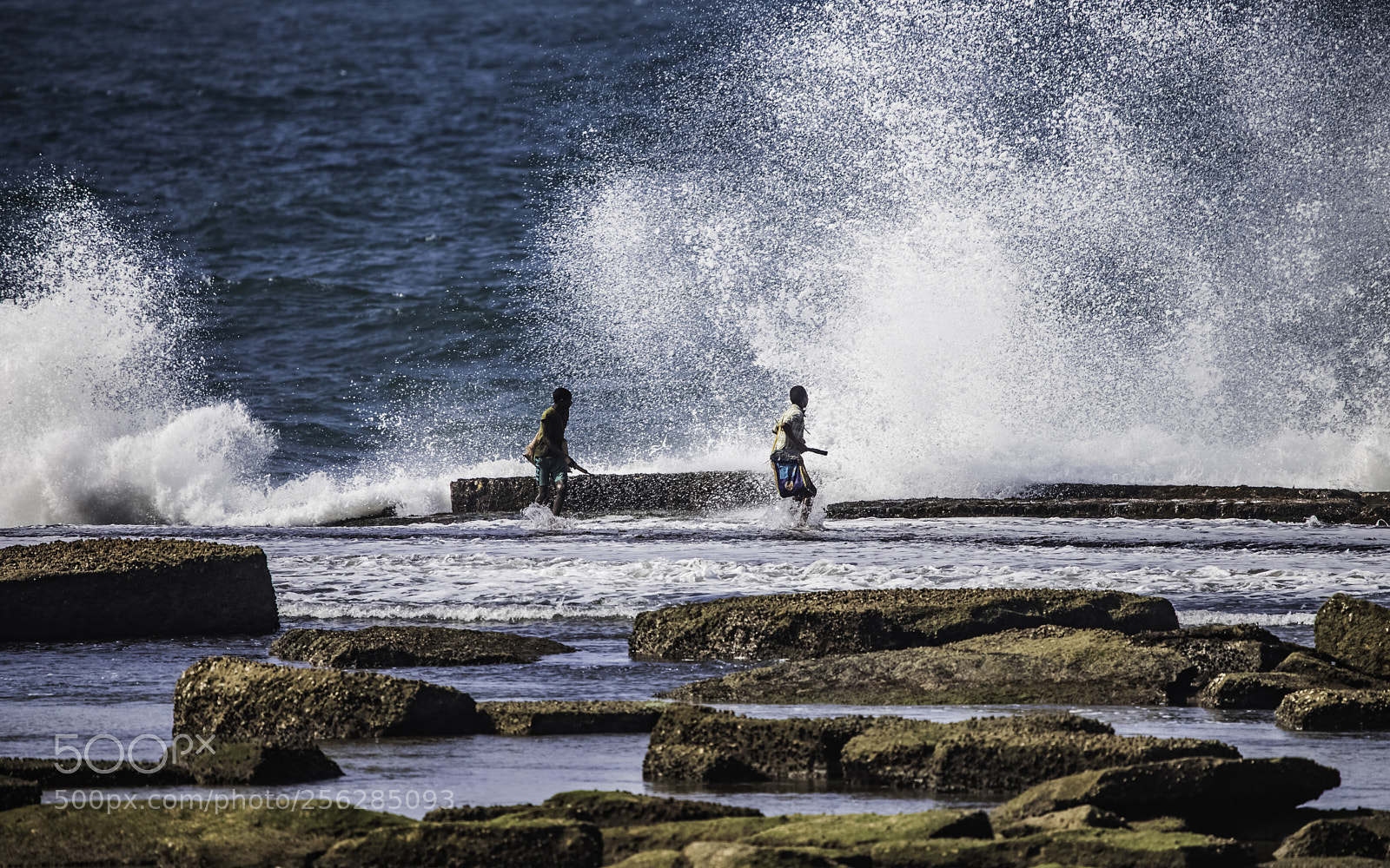 Canon EOS 6D Mark II sample photo. Beautiful and dangerous photography