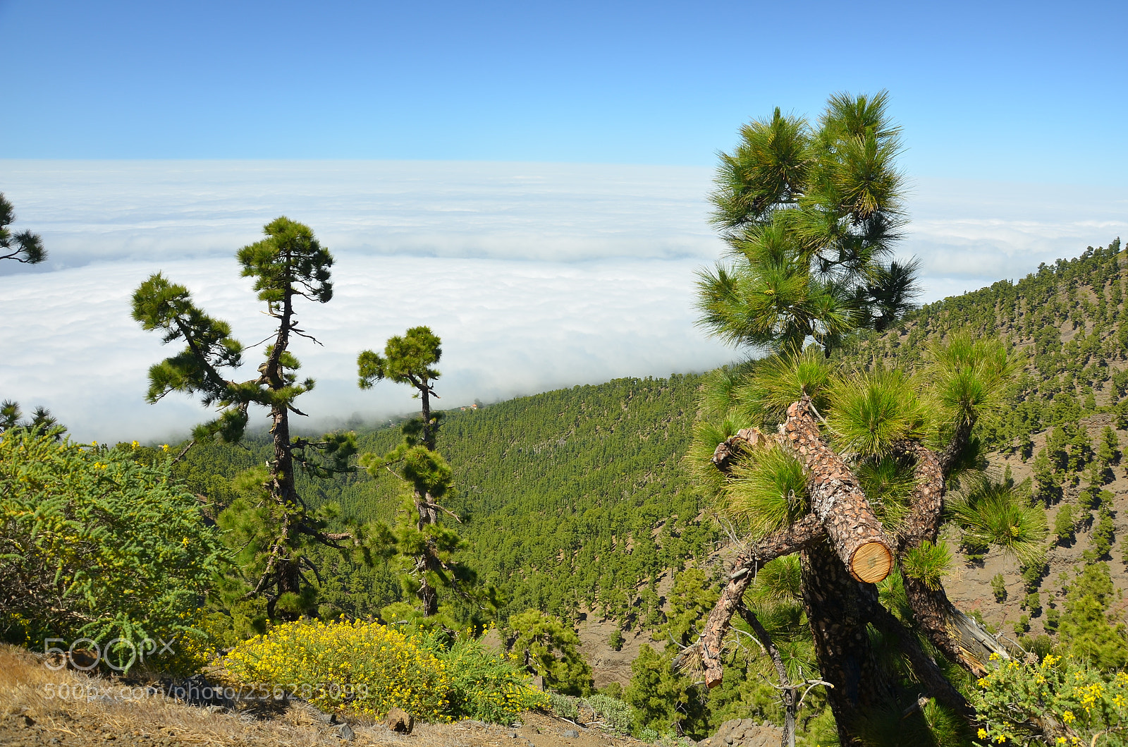 Nikon D5100 sample photo. Wolkenmeer photography