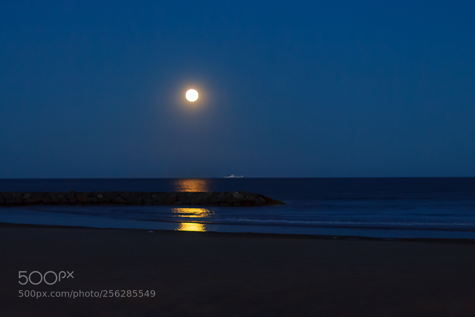 Canon EOS 700D (EOS Rebel T5i / EOS Kiss X7i) sample photo. Blue moon highlights photography