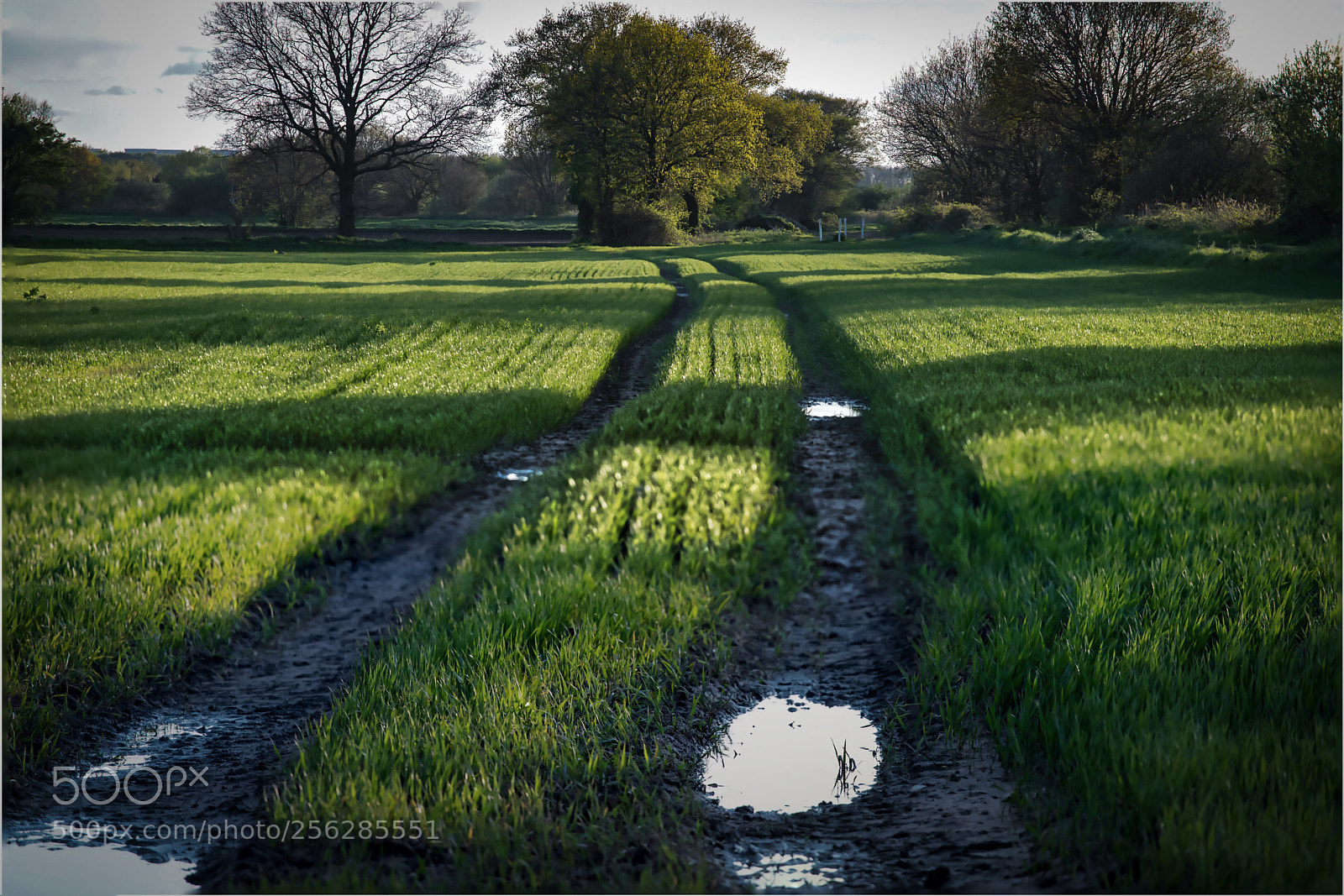Canon EOS 6D Mark II sample photo. Untitled photography