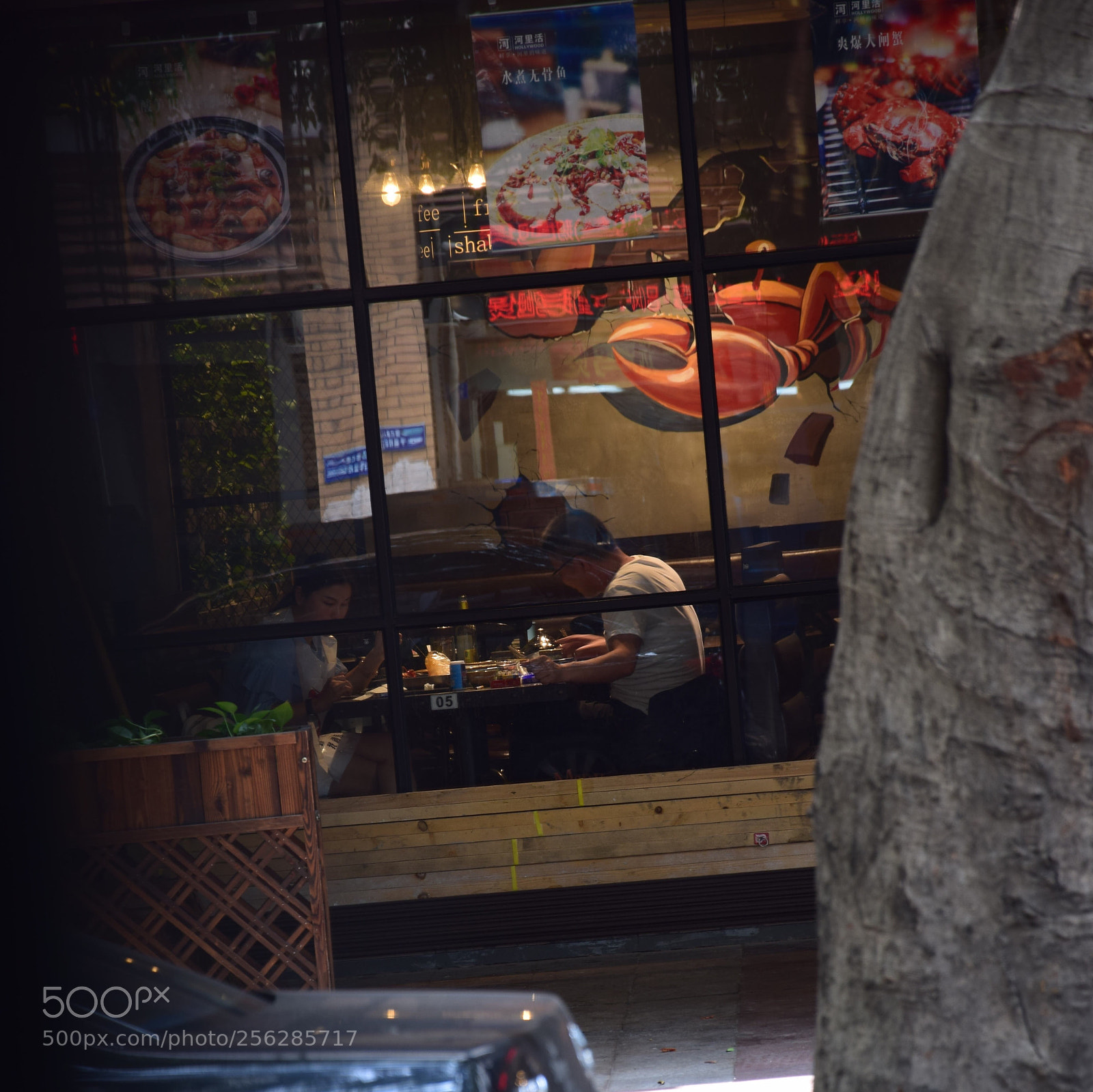 Nikon D5300 sample photo. Sweet photography