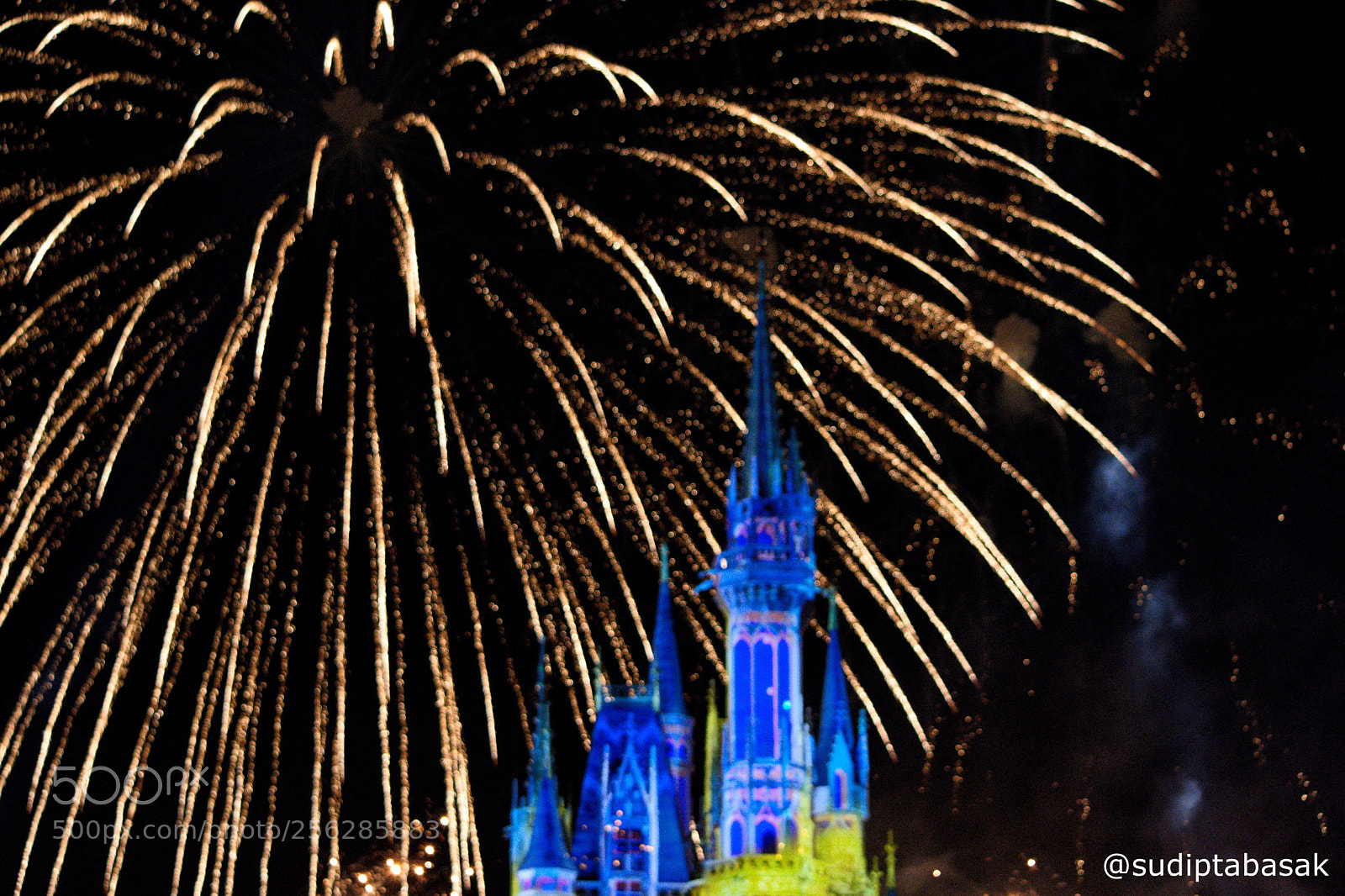 Nikon D7200 sample photo. Happily ever after photography