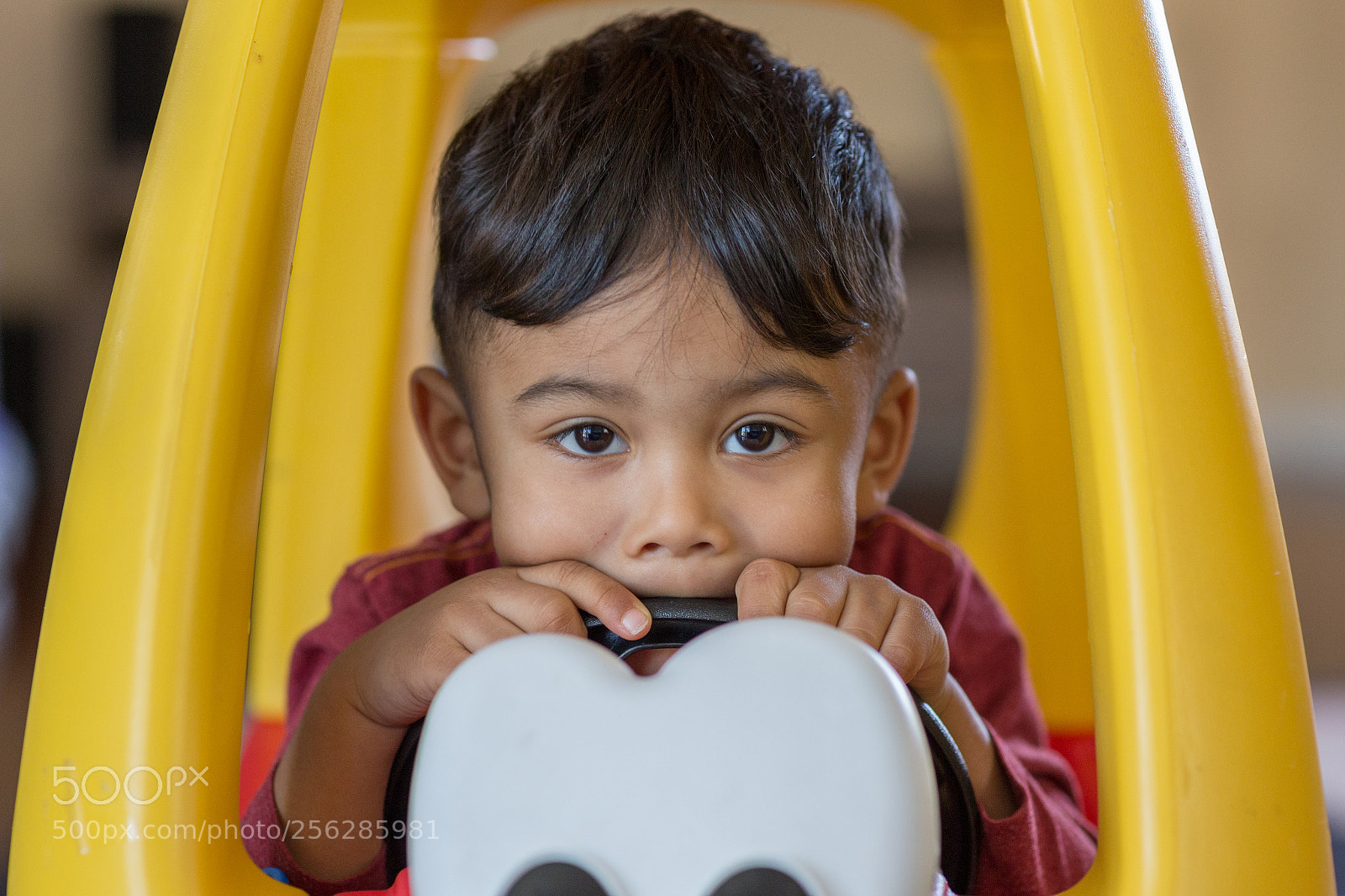 Canon EOS 6D sample photo. Peek-a-boo photography