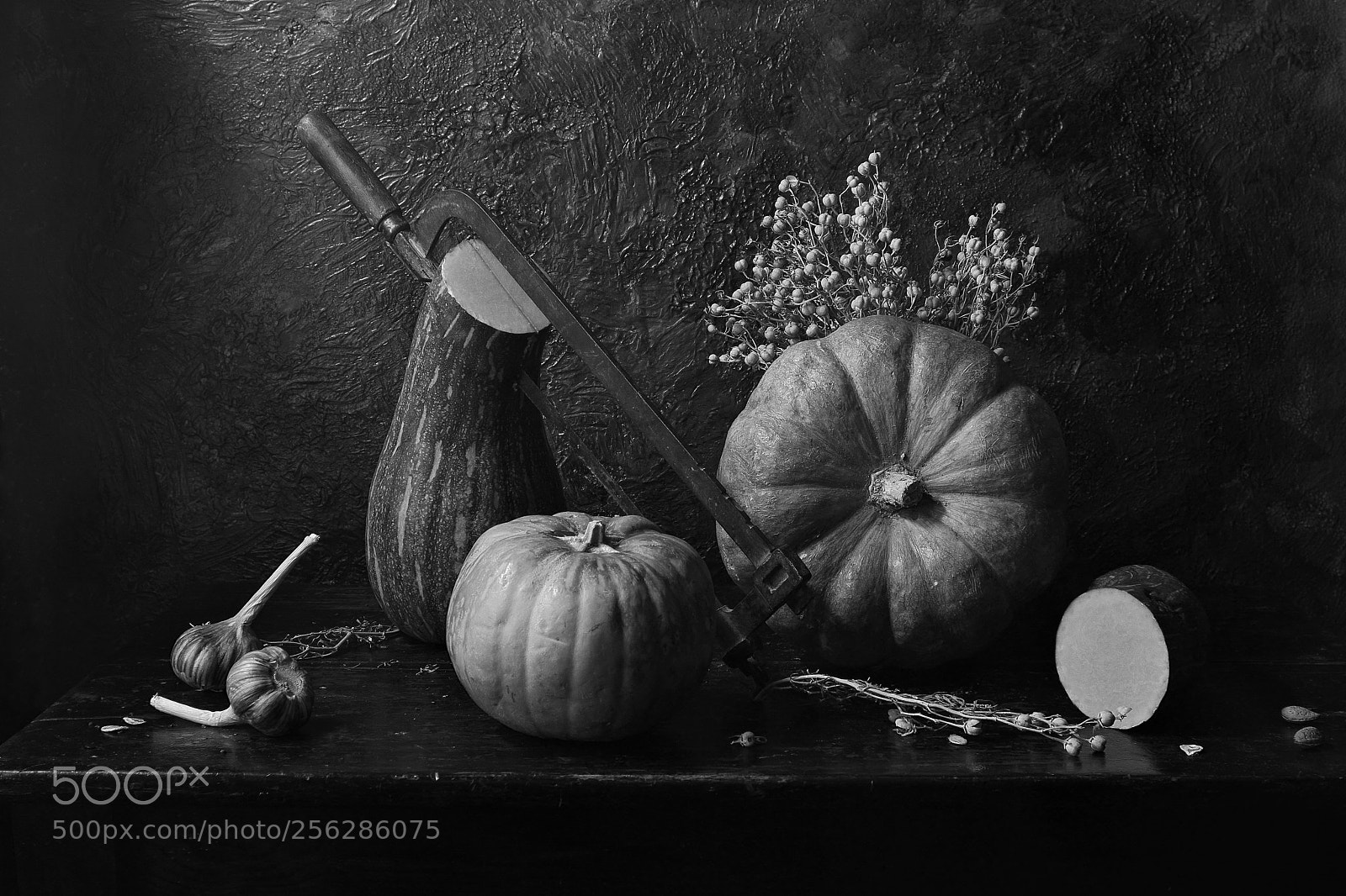 Canon EOS 60D sample photo. Still life with pumpkins photography