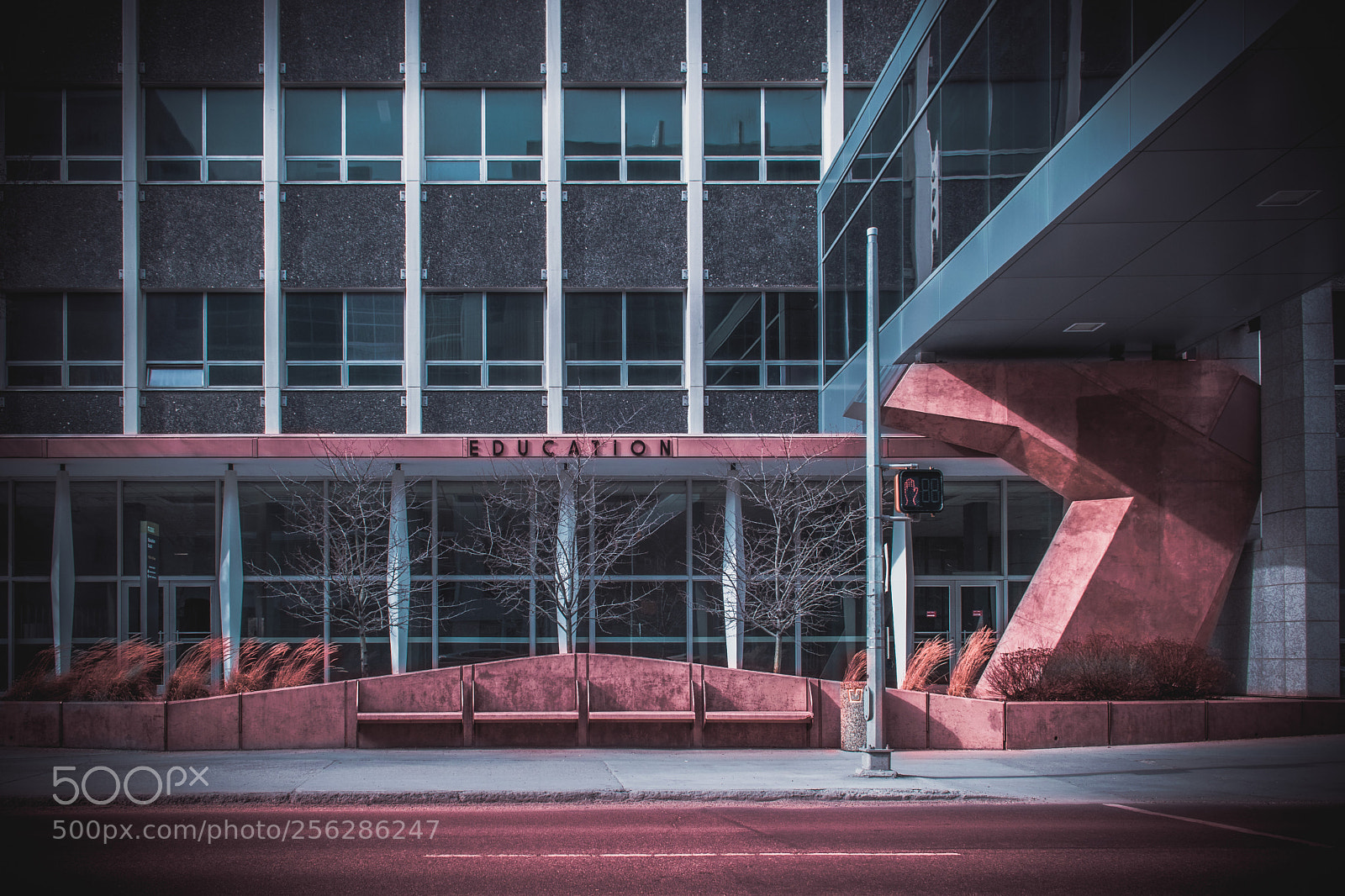 Nikon D5300 sample photo. University of alberta, simplistic photography