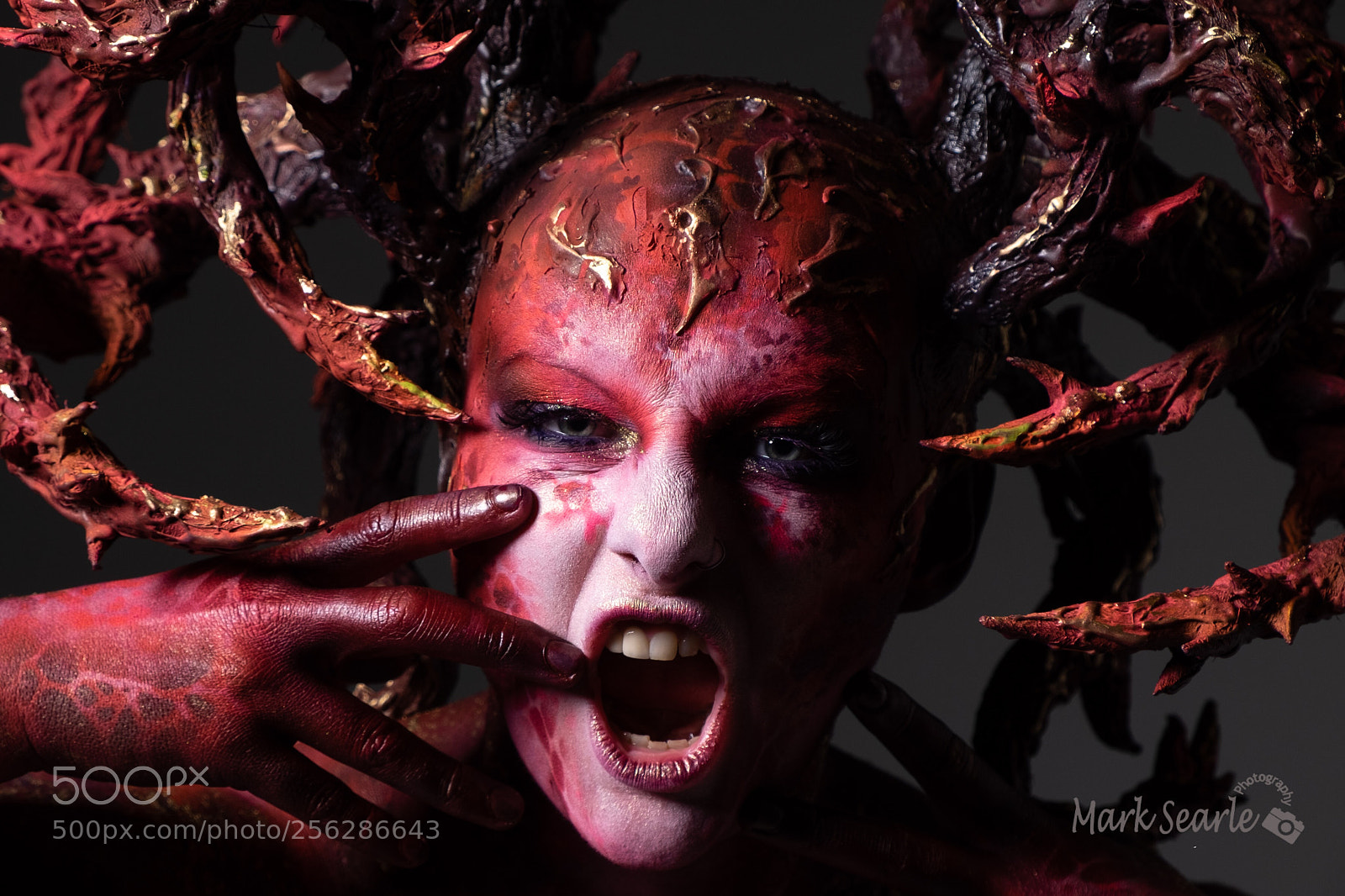 Fujifilm X-T1 sample photo. Primal scream 2 photography