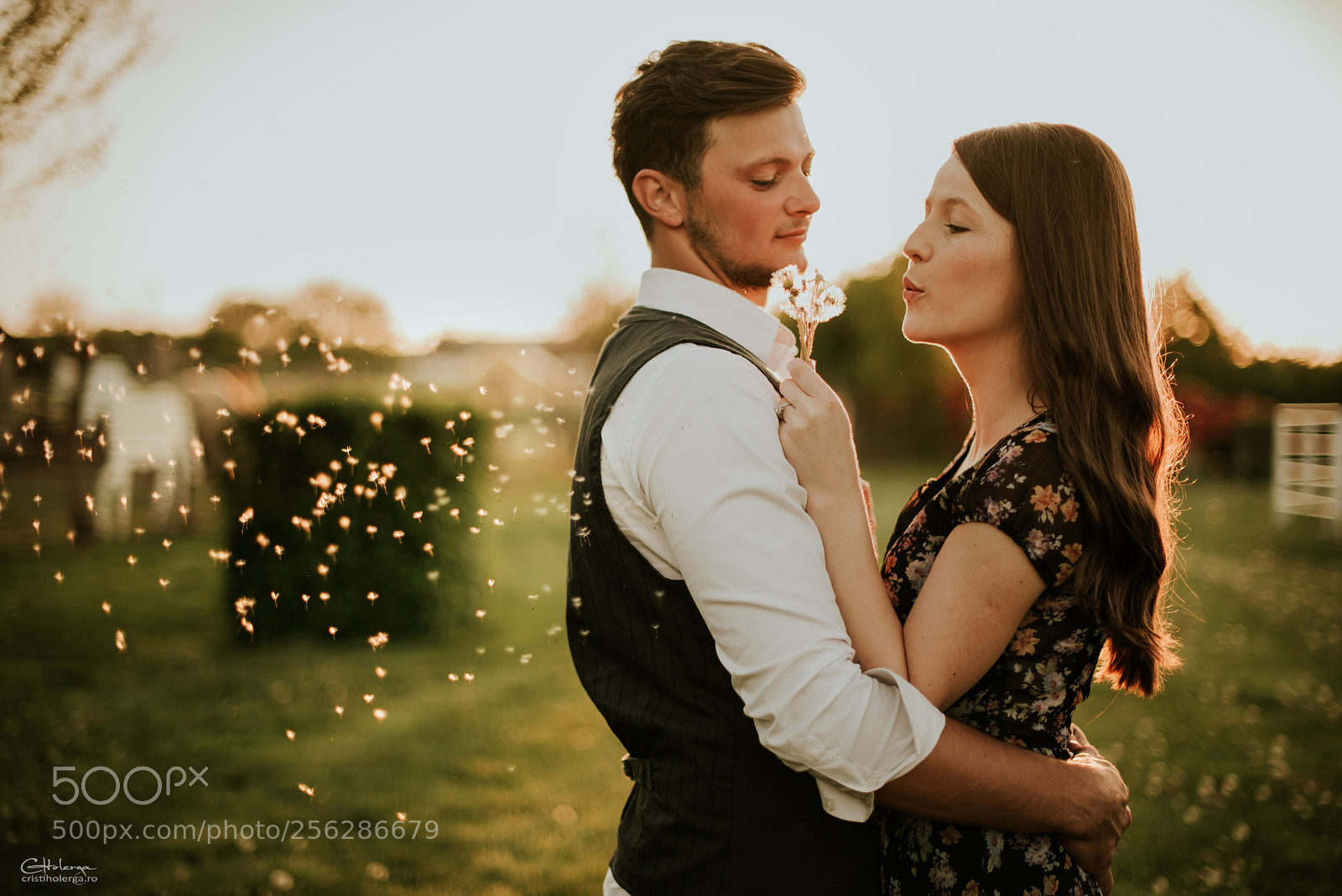 Nikon D610 sample photo. Magic light photography