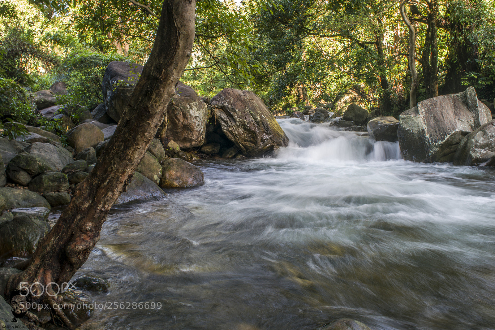 Nikon D3300 sample photo. River photography