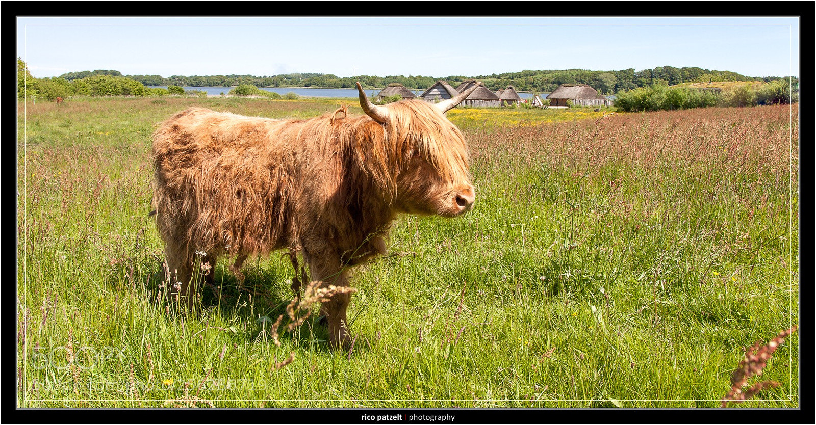 Canon EOS 5D Mark II sample photo. Galloway in viking village photography
