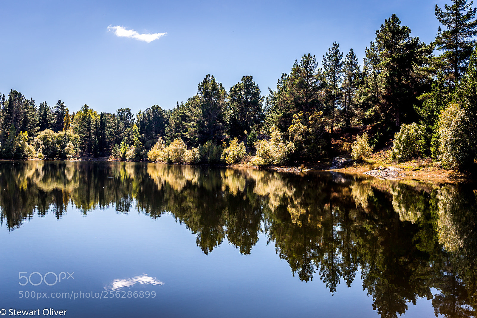 Canon EOS 6D sample photo. Pinder's pond #1 photography