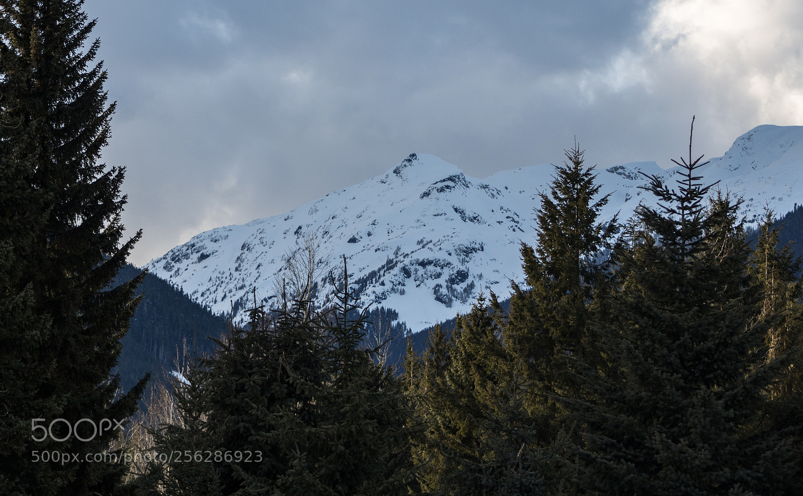 Canon EOS 750D (EOS Rebel T6i / EOS Kiss X8i) sample photo. Mountain view photography