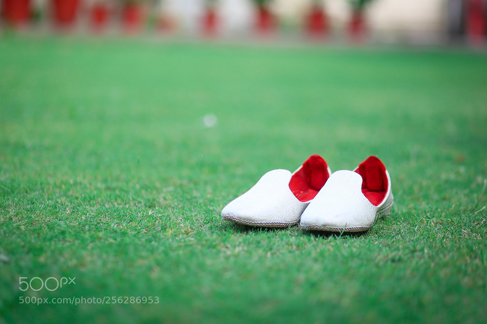 Canon EOS 6D sample photo. Groom shoes ! photography