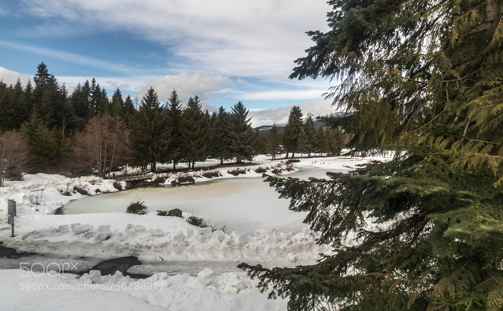 Canon EOS 750D (EOS Rebel T6i / EOS Kiss X8i) sample photo. Winter wonderland photography