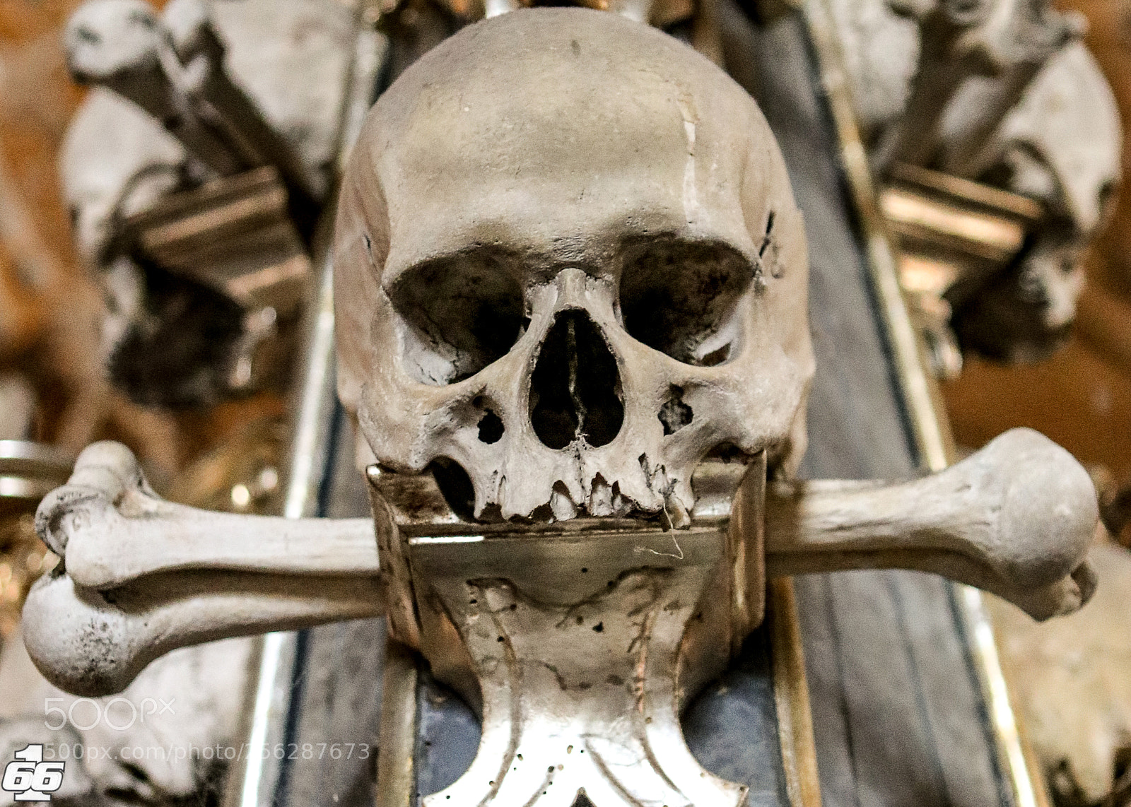 Canon EOS 80D sample photo. Skull photography