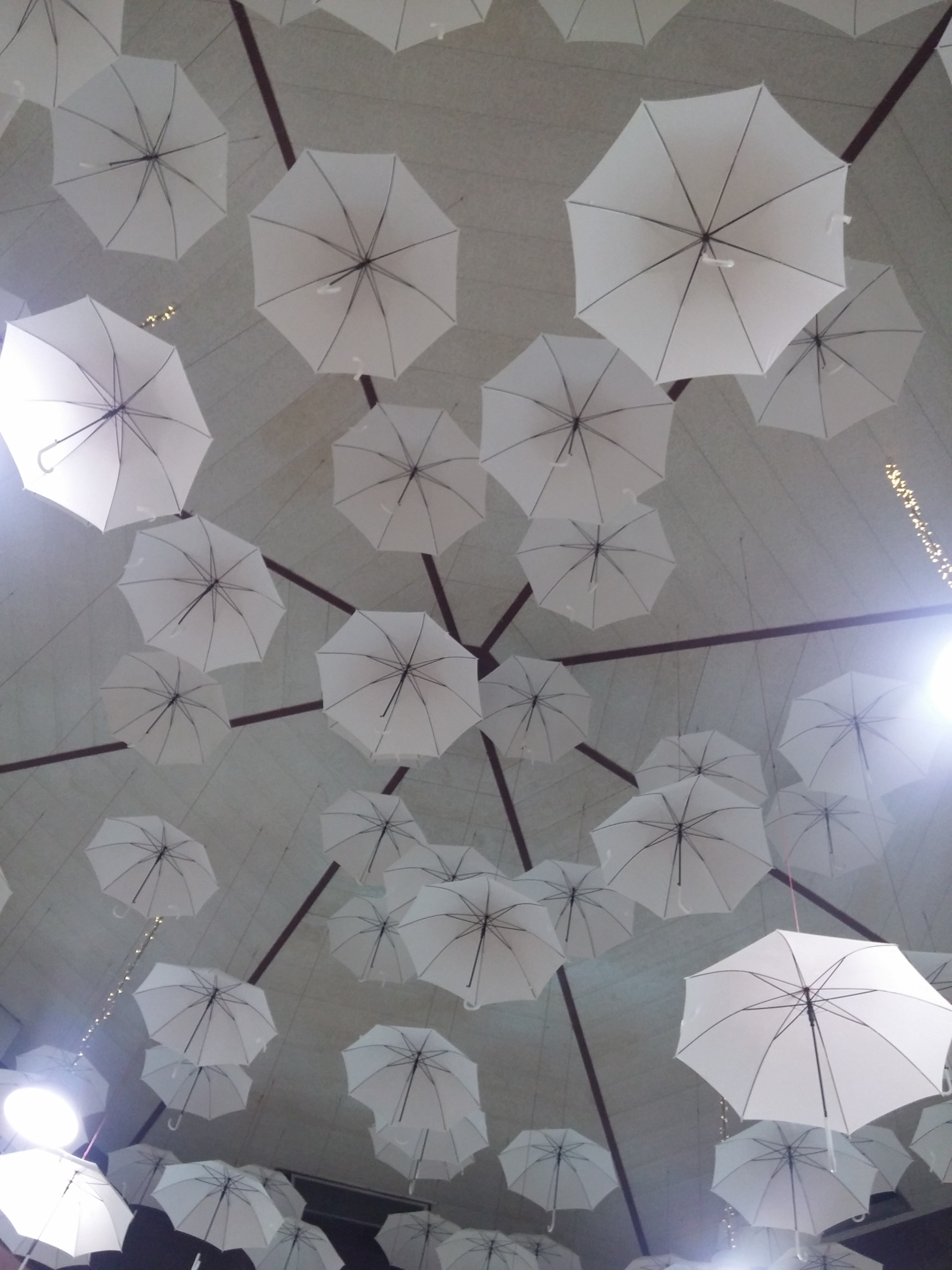 LG G3 sample photo