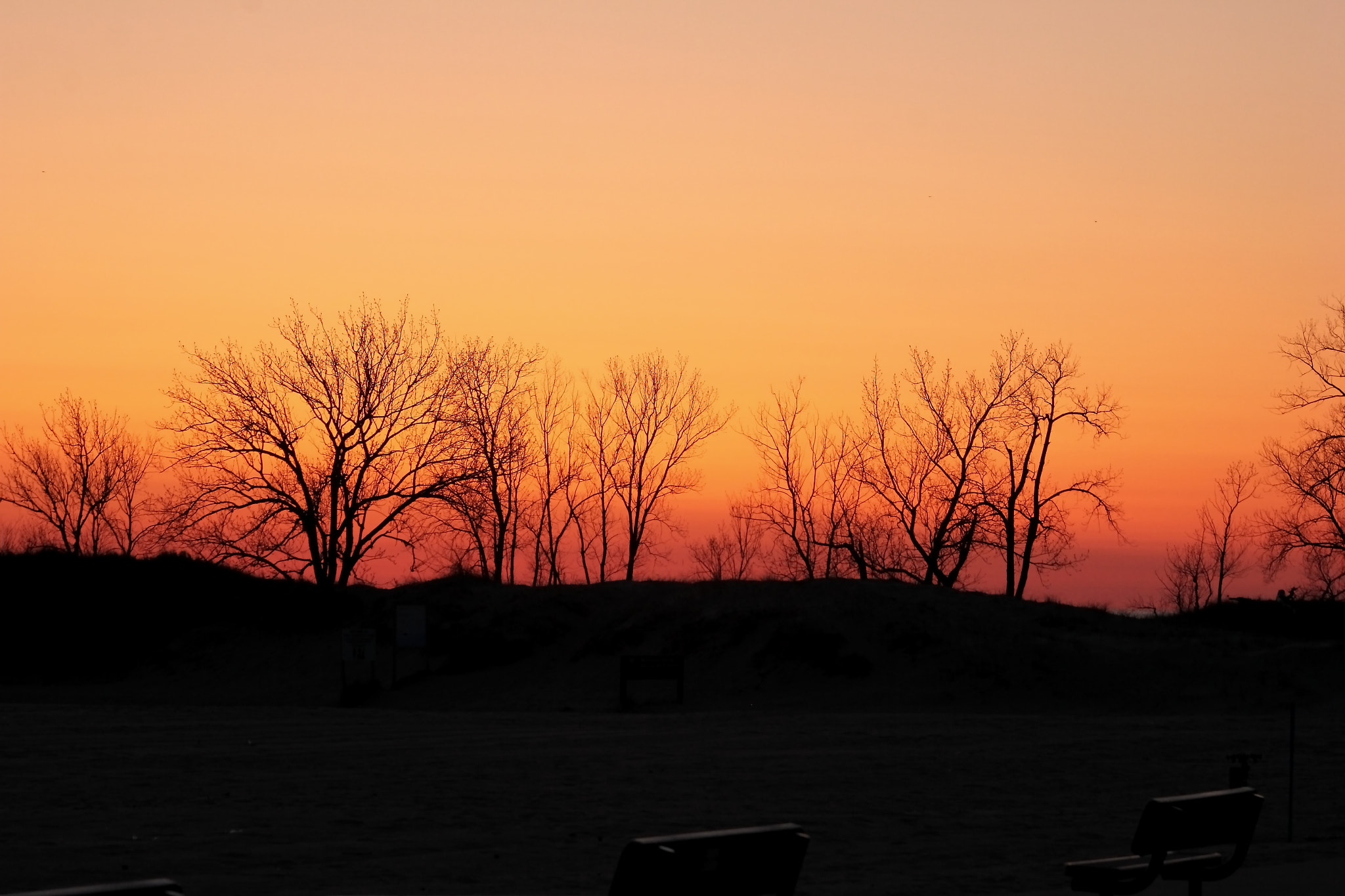 Canon EF-S 55-250mm F4-5.6 IS II sample photo. Luminous photography
