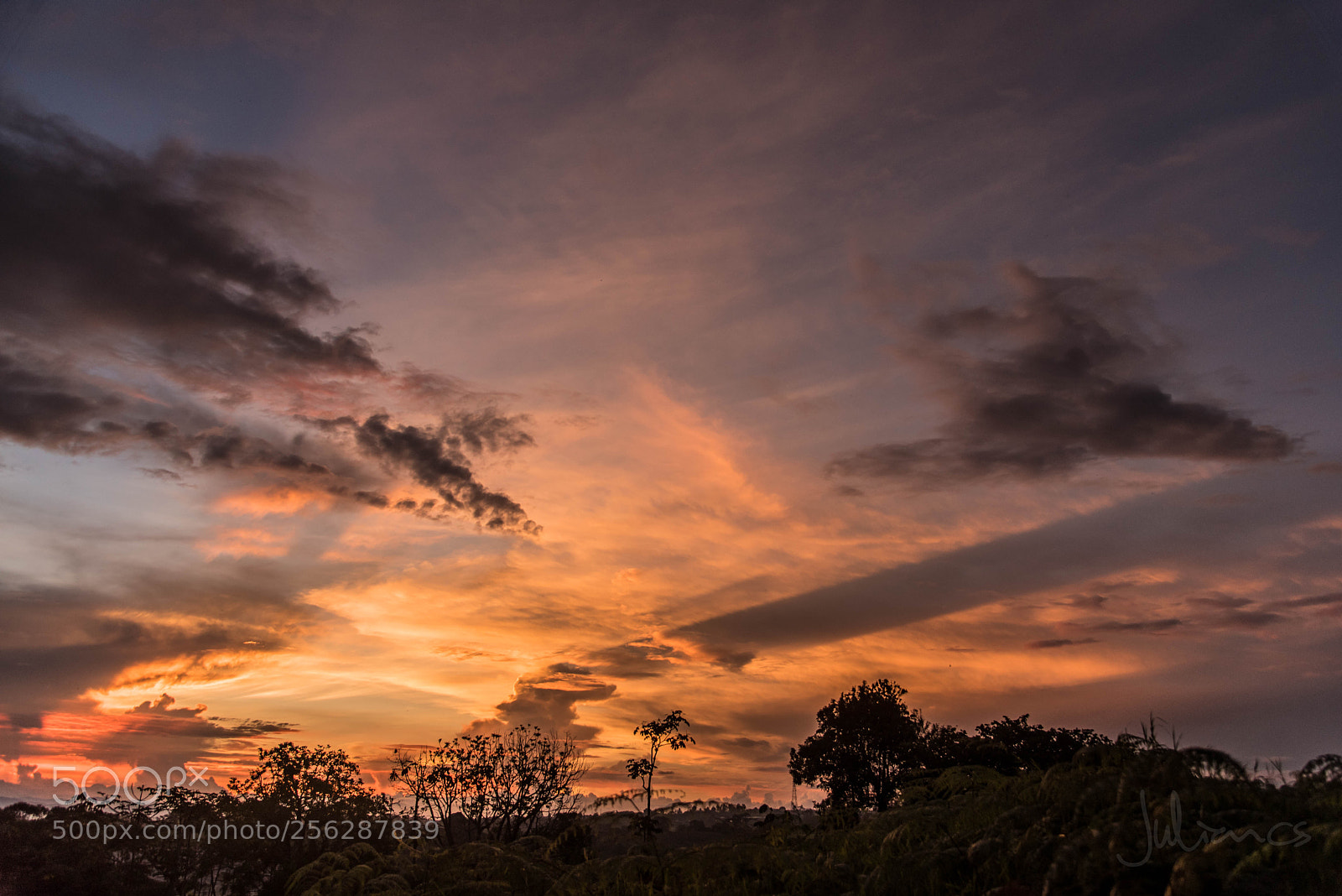 Nikon D750 sample photo. Oro en el cielo photography
