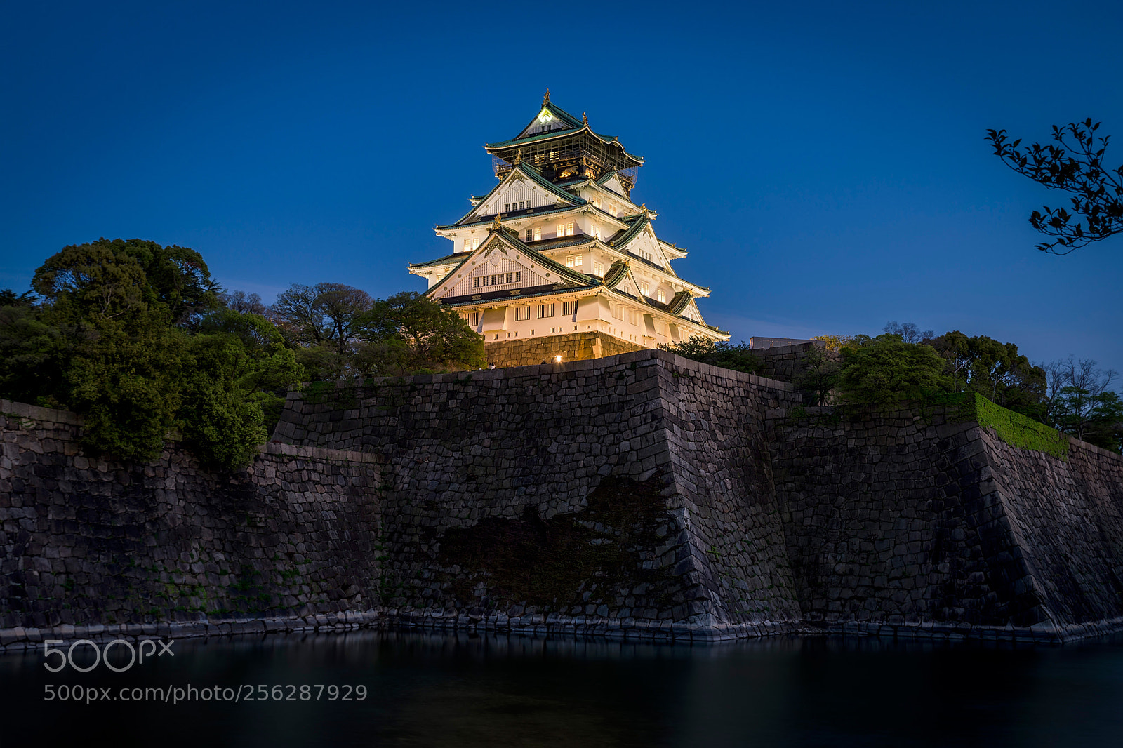 Nikon D610 sample photo. Osaka castle at night photography